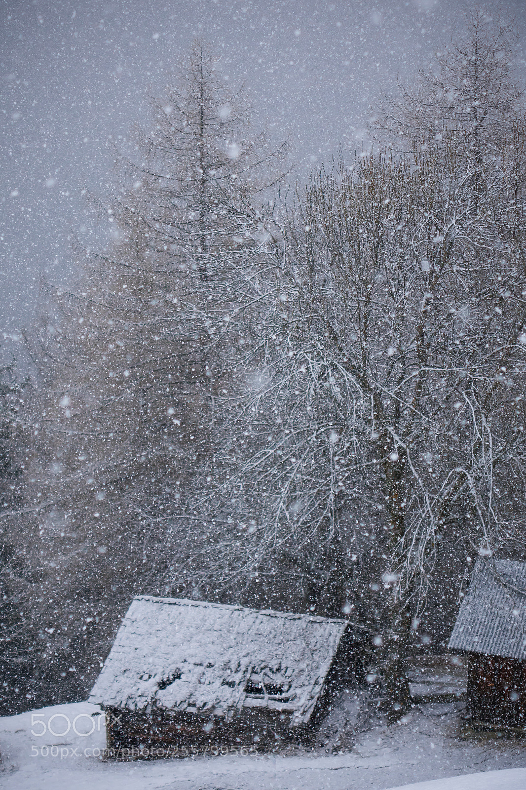 Sony Cyber-shot DSC-RX10 sample photo. Abandoned under the blizzard photography