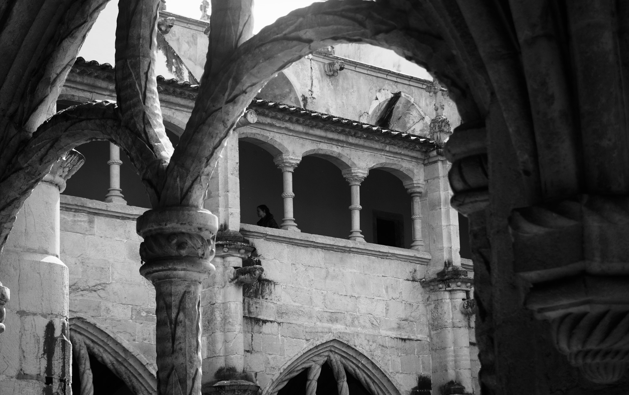 Nikon D3100 sample photo. Arcos photography