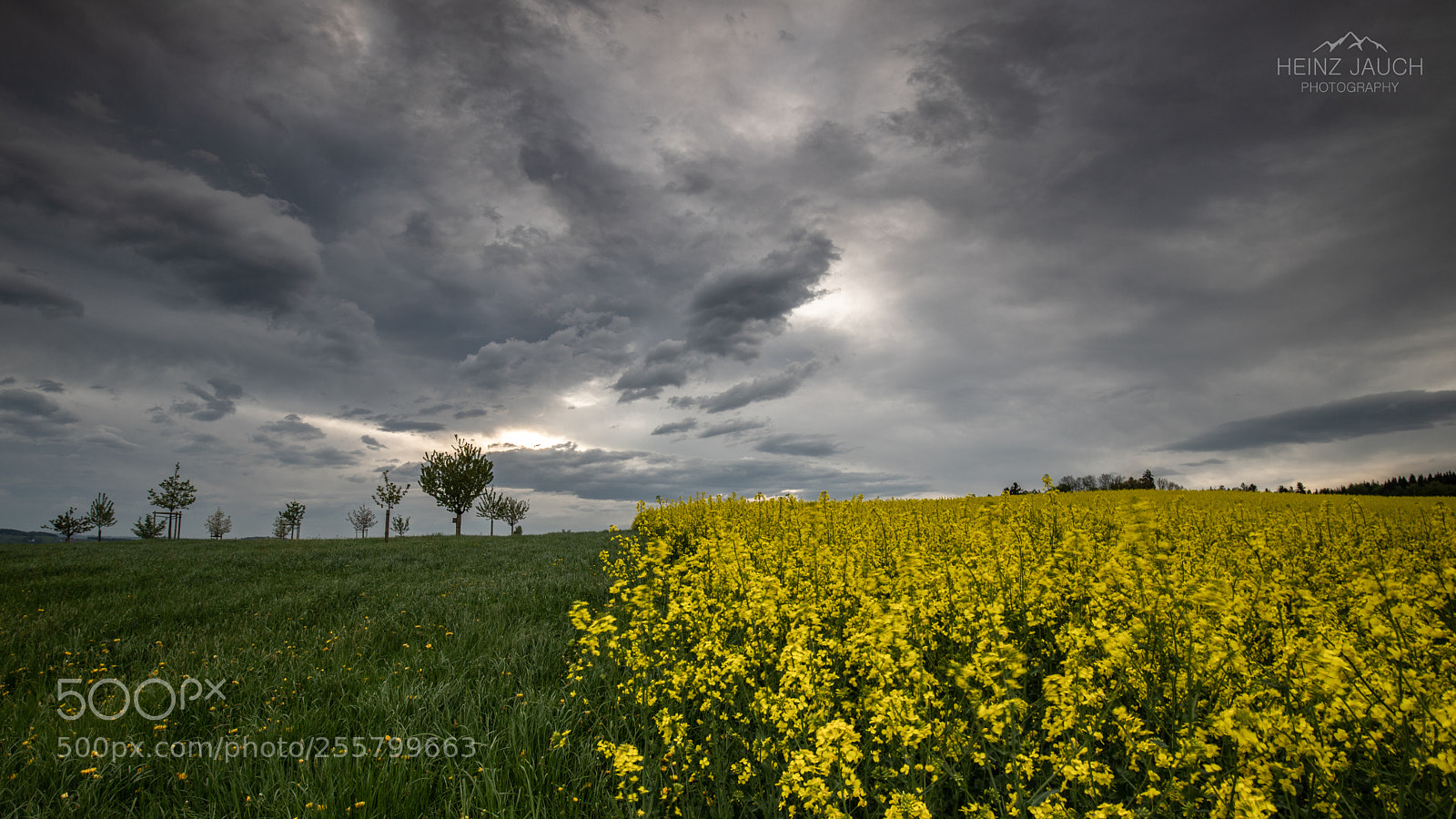 Canon EOS 6D Mark II sample photo. Untitled photography