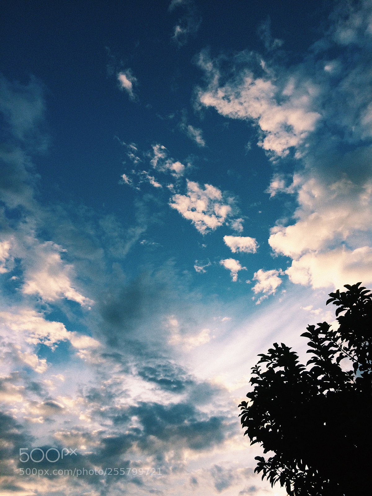 Apple iPhone 5s sample photo. Untitled photography