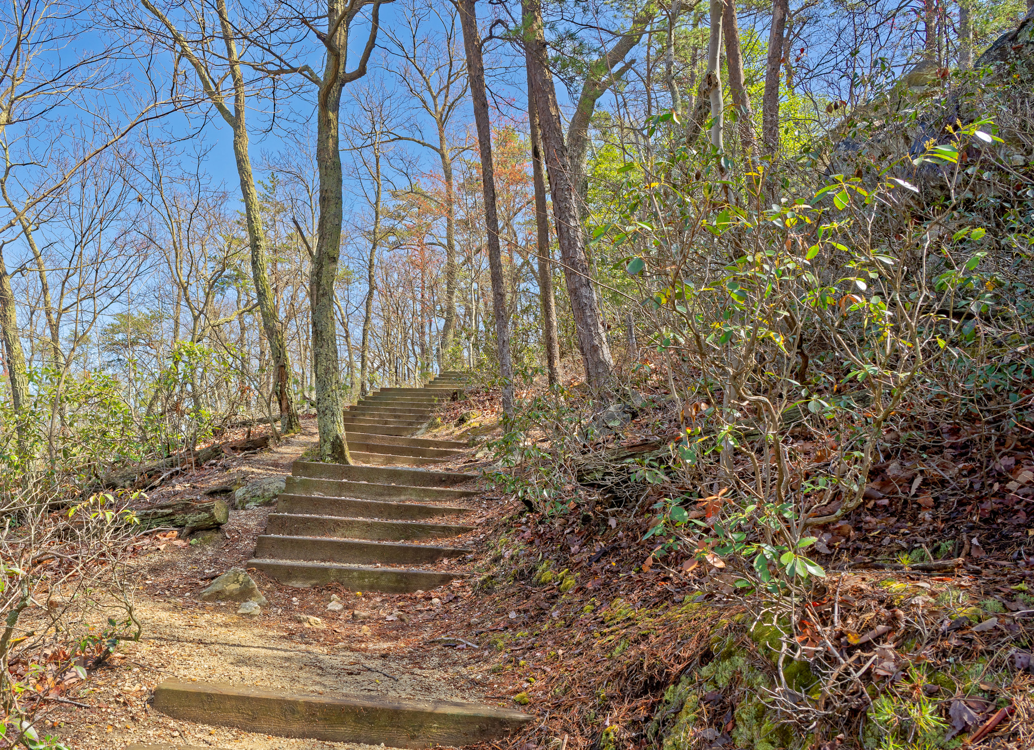 ZEISS Batis 25mm F2 sample photo. Hangingrockparktoryfallstraildanburync dxo photography