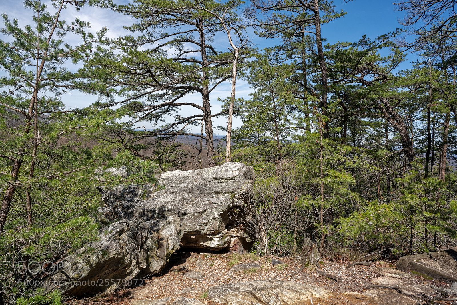 Sony a7R III sample photo. Hangingrockparktoryfallstraildanburync dxo photography