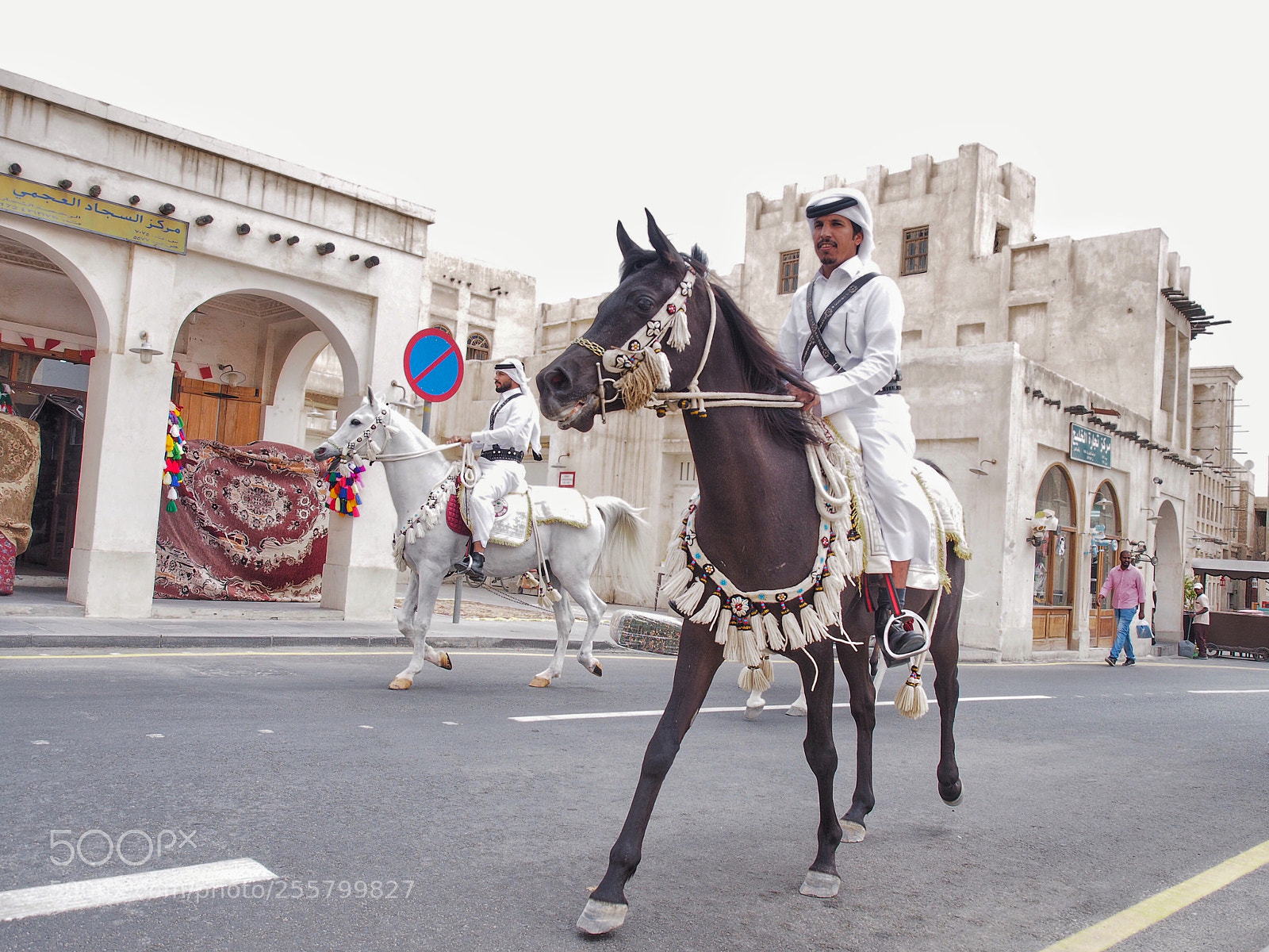 Olympus OM-D E-M5 sample photo. Arabian knights photography