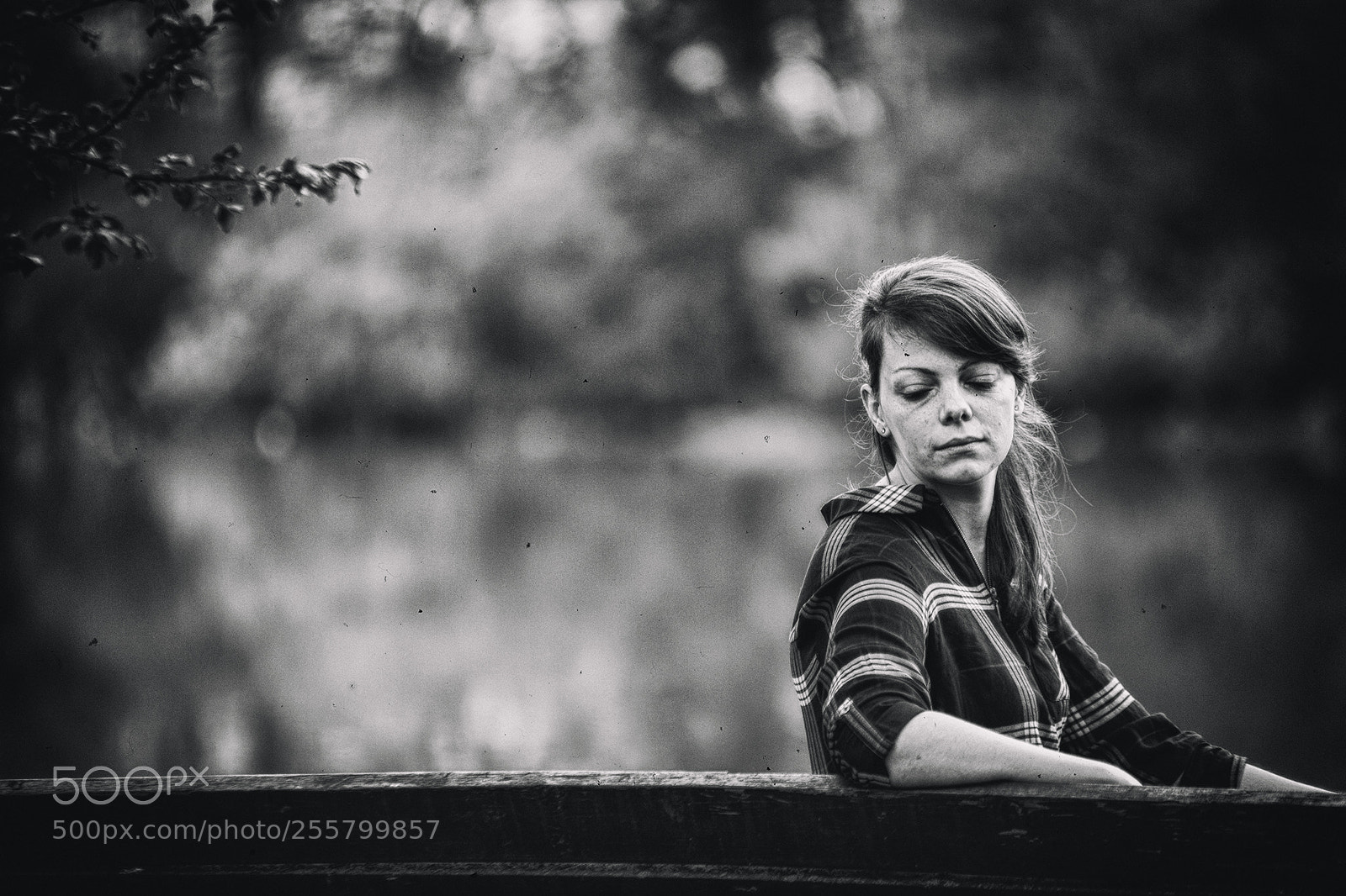 Canon EOS 5D Mark II sample photo. Lonely bench photography