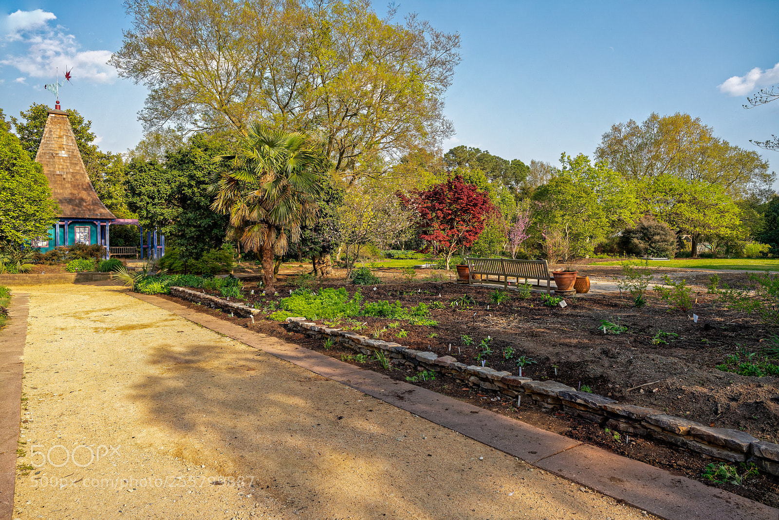 Sony a7R III sample photo. Jcraulstonarboretumraleighnc photography