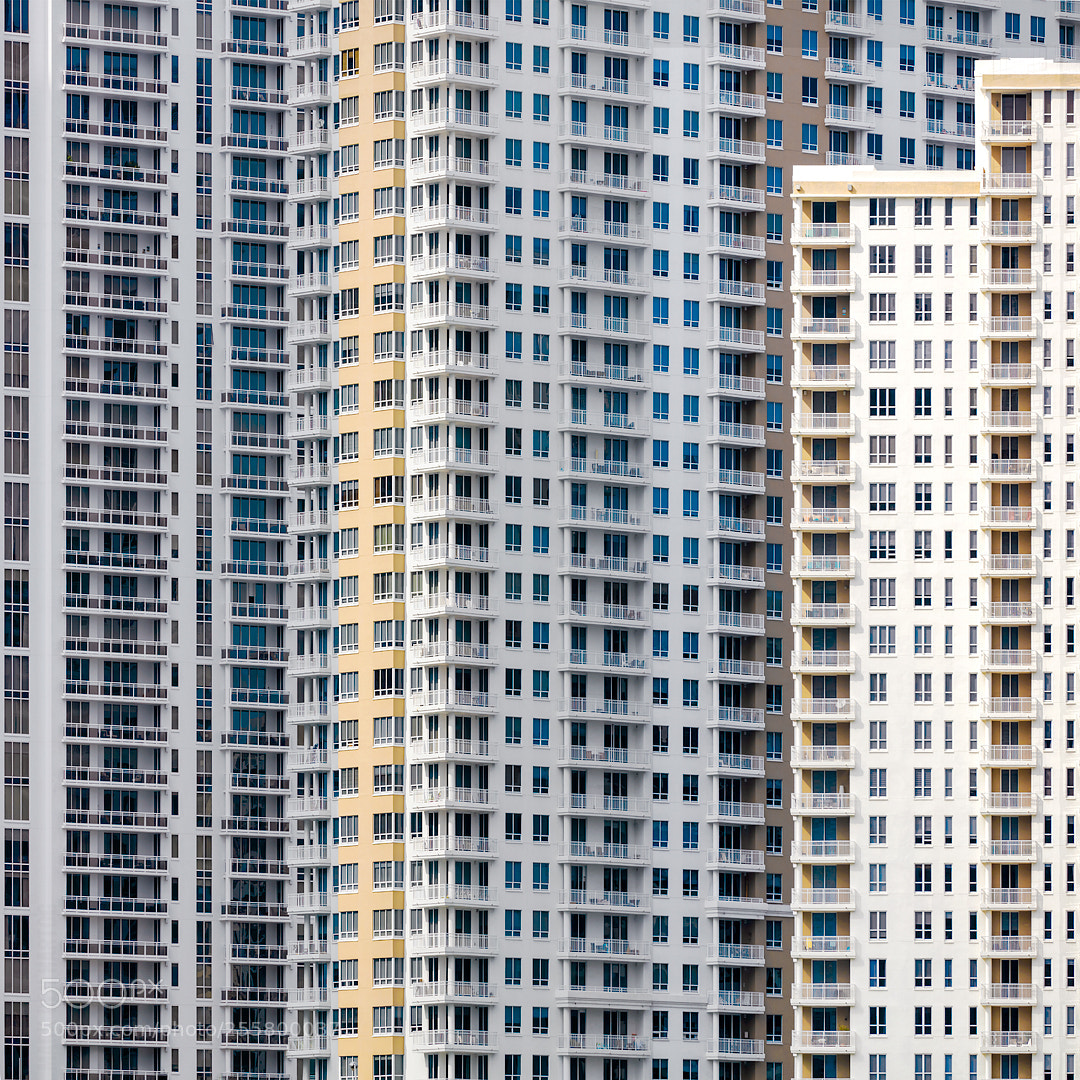 Canon EOS 5DS R sample photo. Hong kong in miami photography