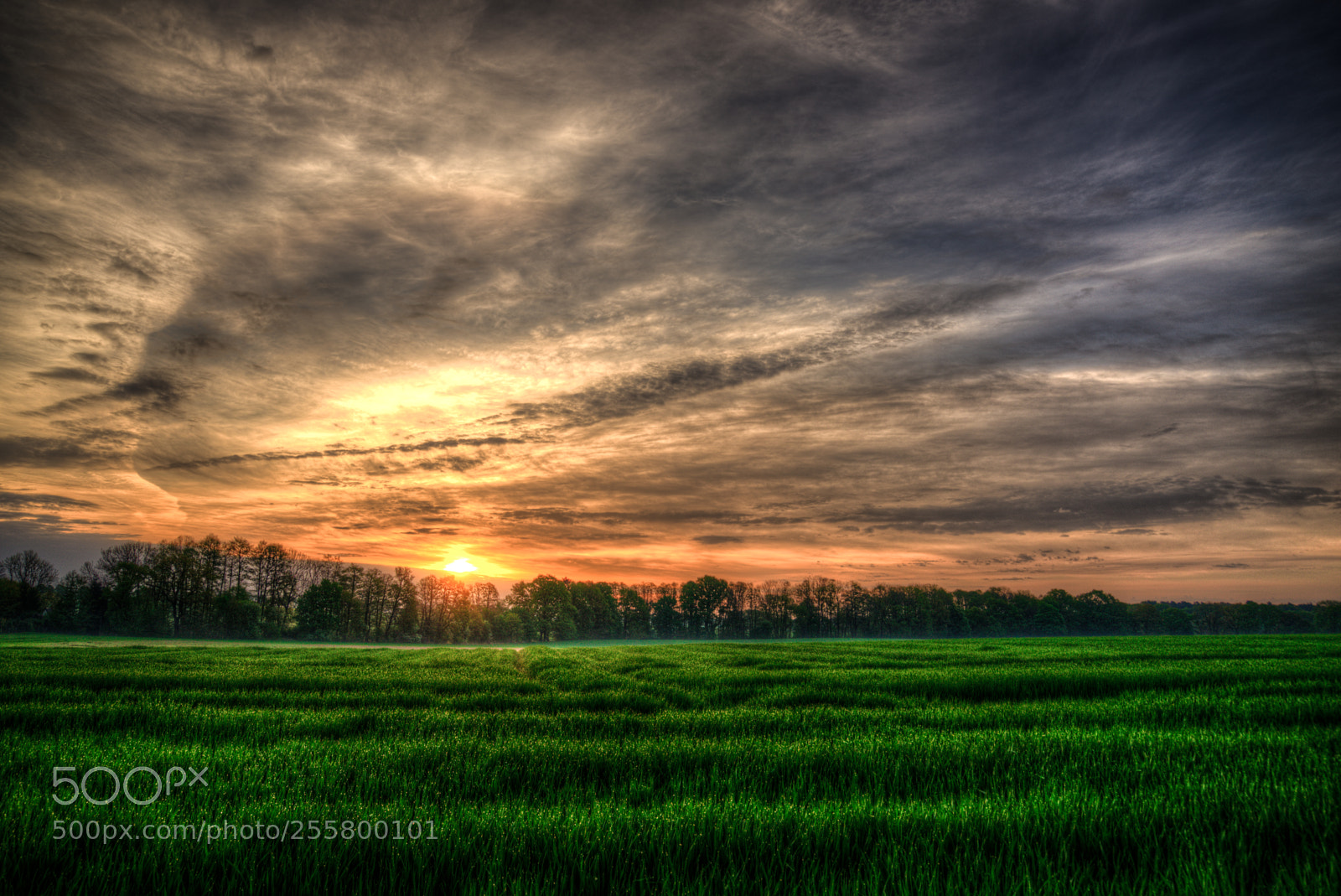 Sony a7 II sample photo. Sunrise in brandenburg-germany photography