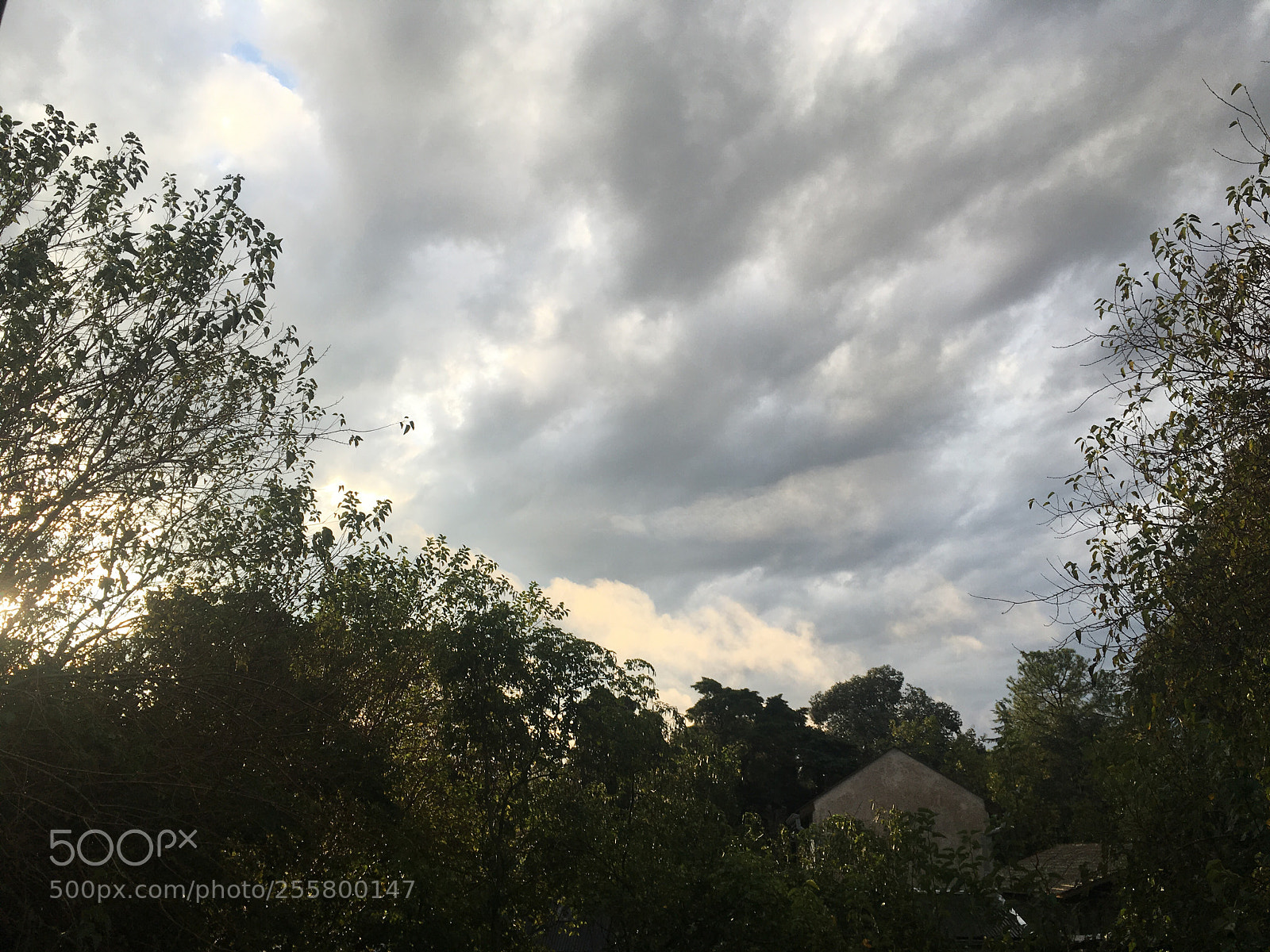 Apple iPhone SE sample photo. Untitled photography