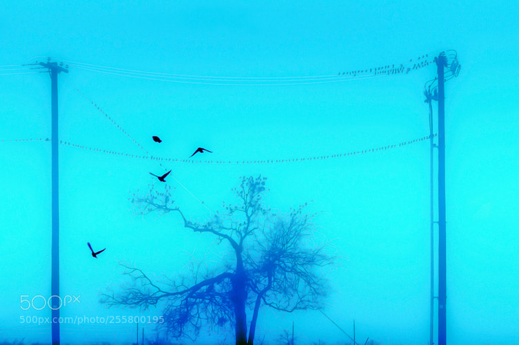 Nikon D90 sample photo. In flight on a photography