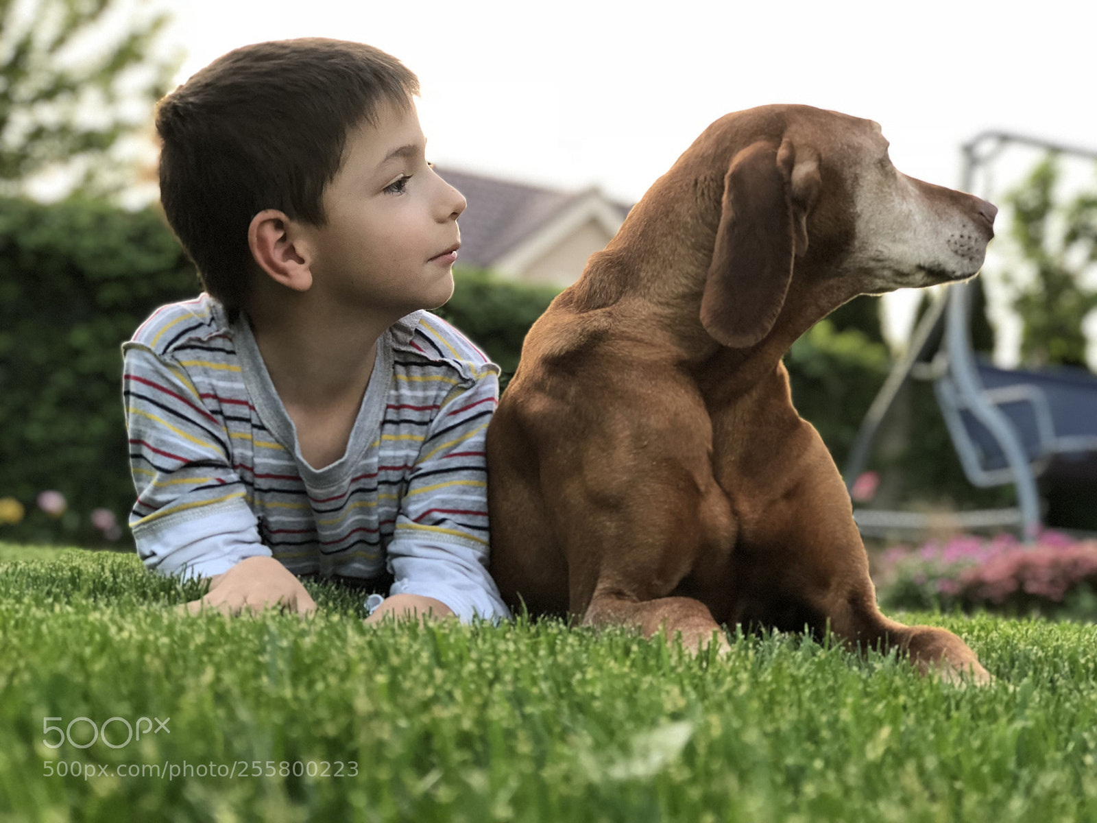 Apple iPhone 8 Plus sample photo. My brother with my photography