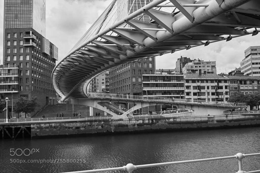 Sony SLT-A57 sample photo. Puente zubizuri or puente photography