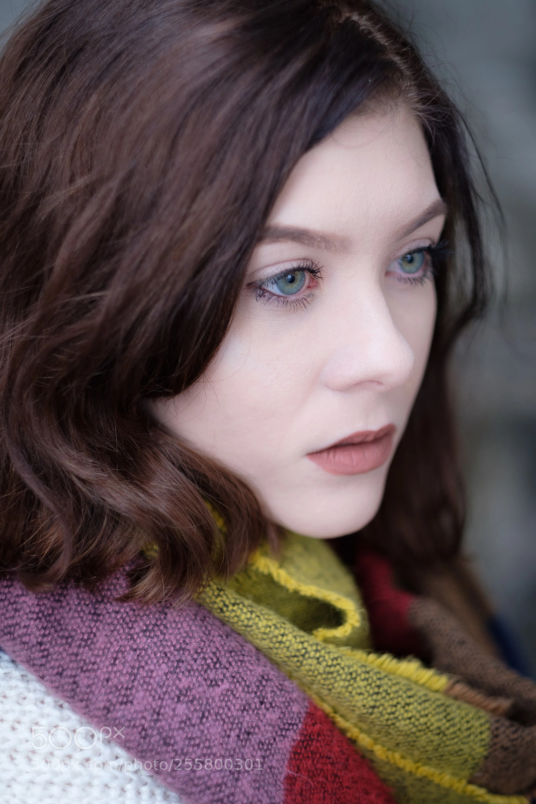 Fujifilm X-Pro2 sample photo. Brogan photography