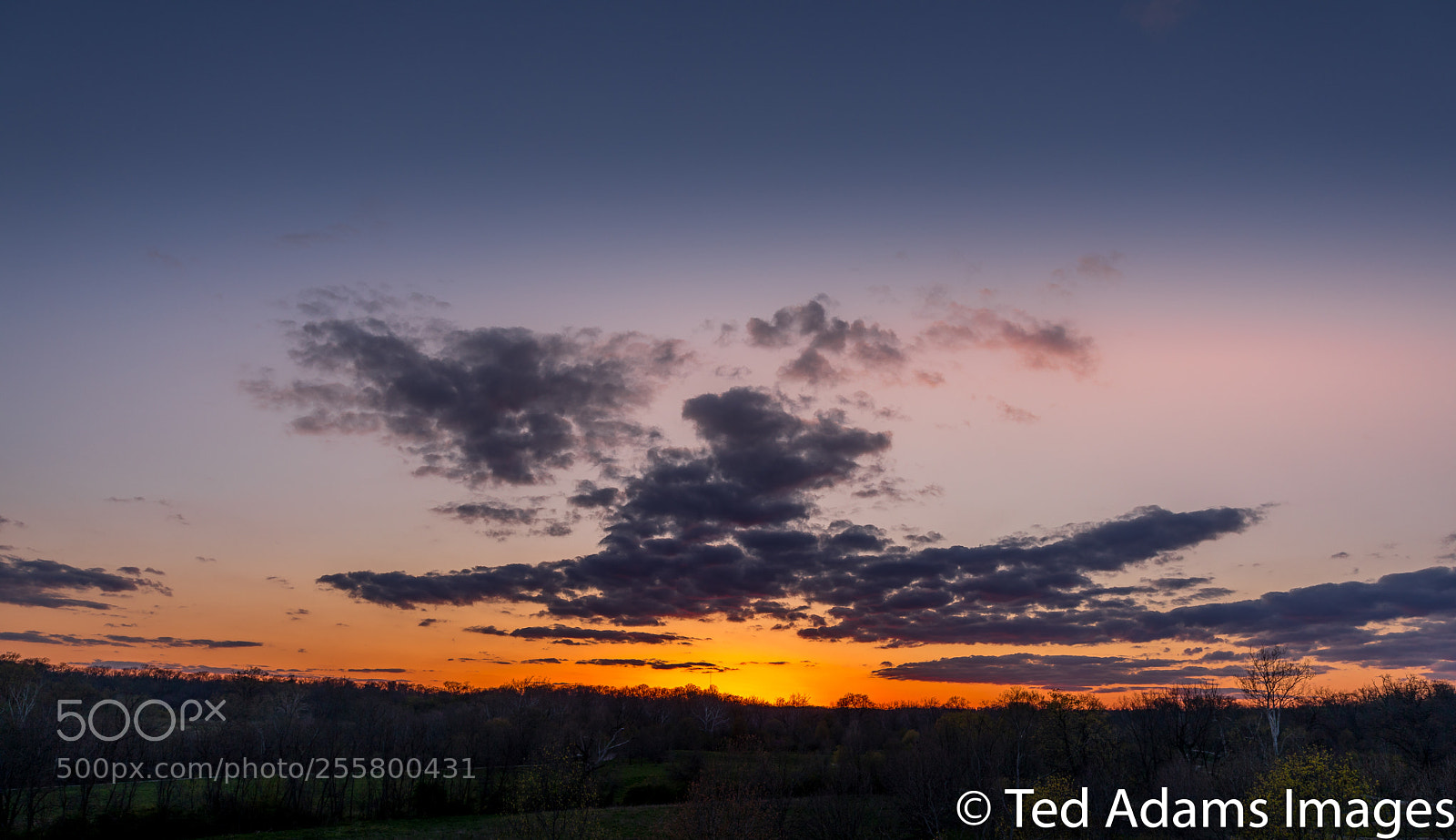 Canon EOS 5D Mark IV sample photo. Sunset at glenwood gardens photography