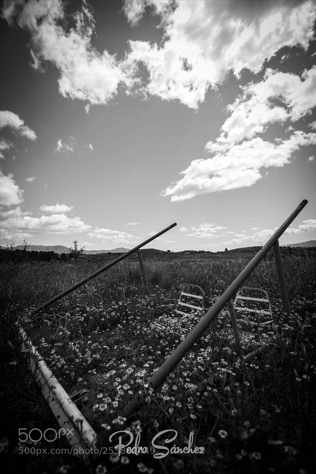 Nikon D5500 sample photo. Swing photography