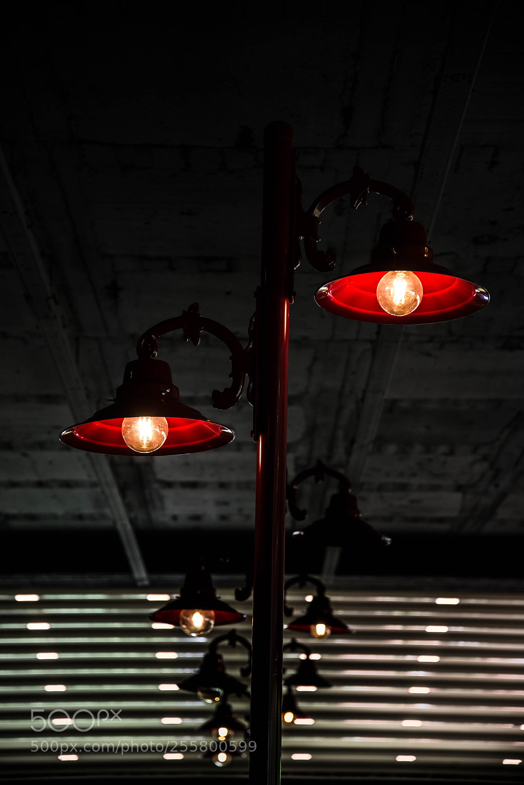 Nikon D600 sample photo. Red & light photography