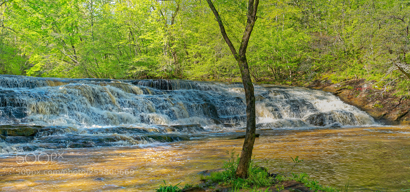 Sony a7R III sample photo. Shagtownfallsyadkinvillenc panoedit photography
