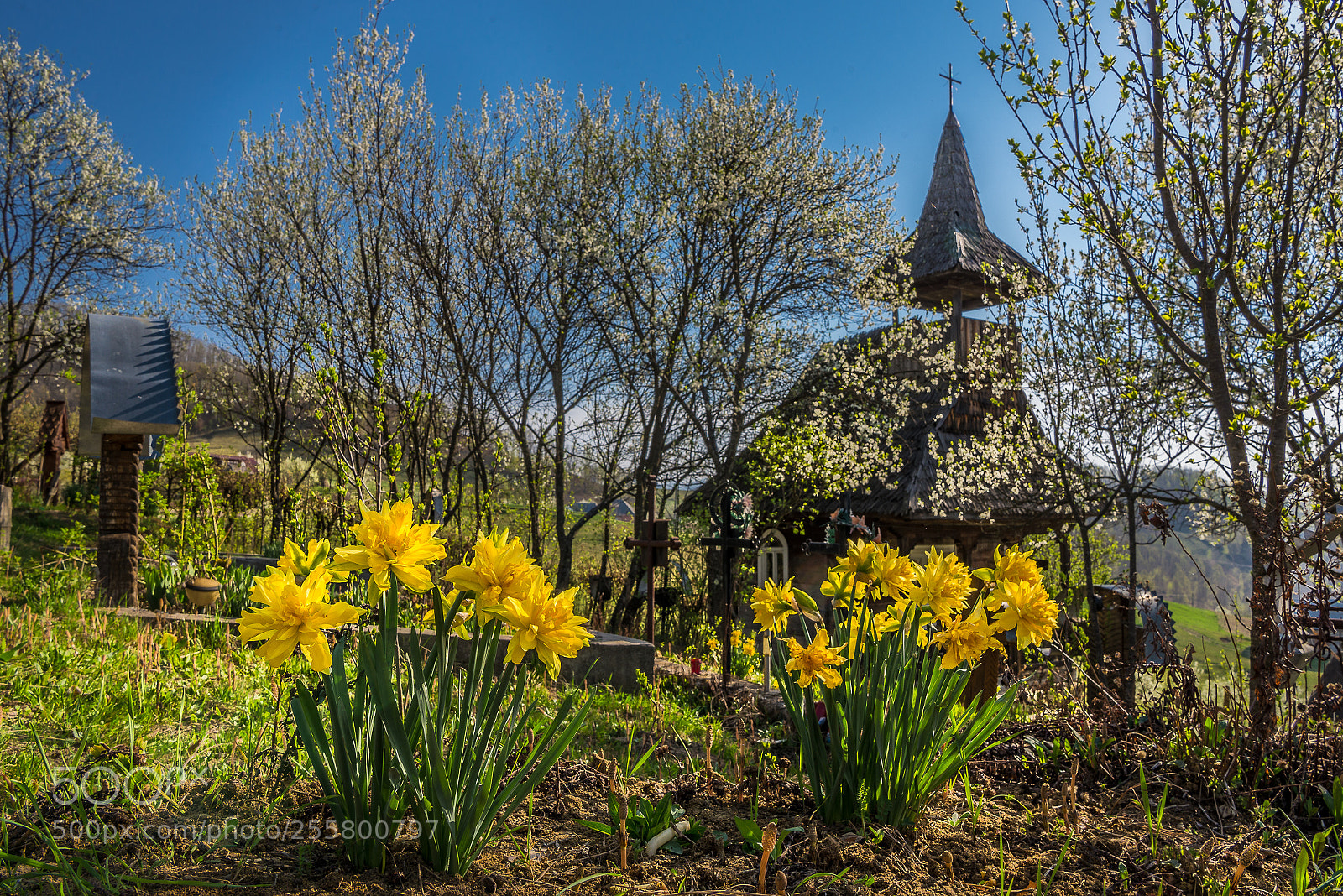 Nikon D610 sample photo. Untitled photography