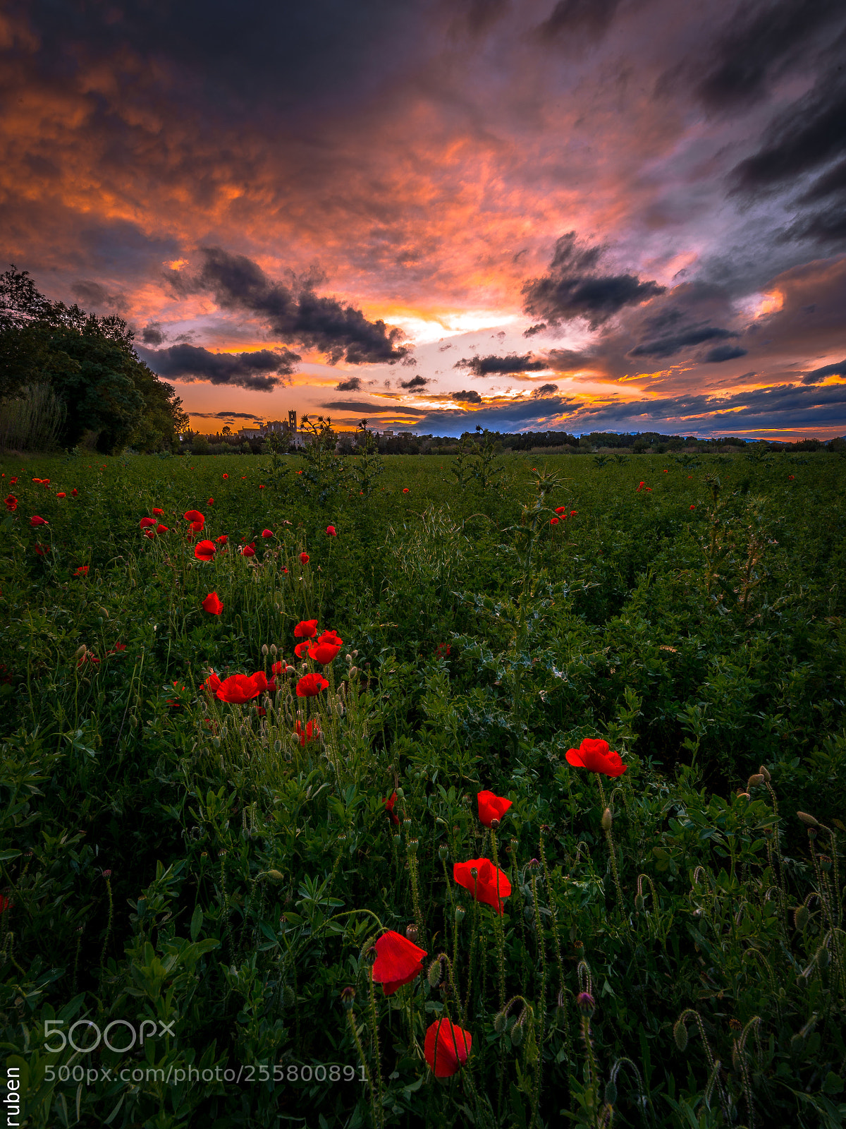 Nikon D610 sample photo. Crepuscle a l'empordà photography
