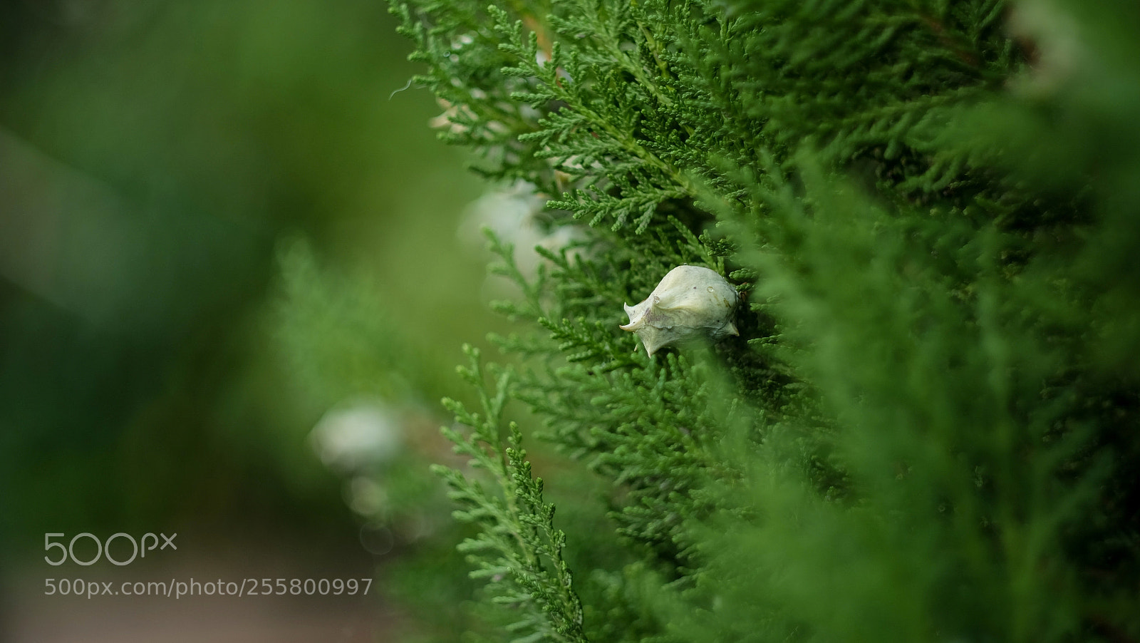 Fujifilm X-A1 sample photo. Untitled photography