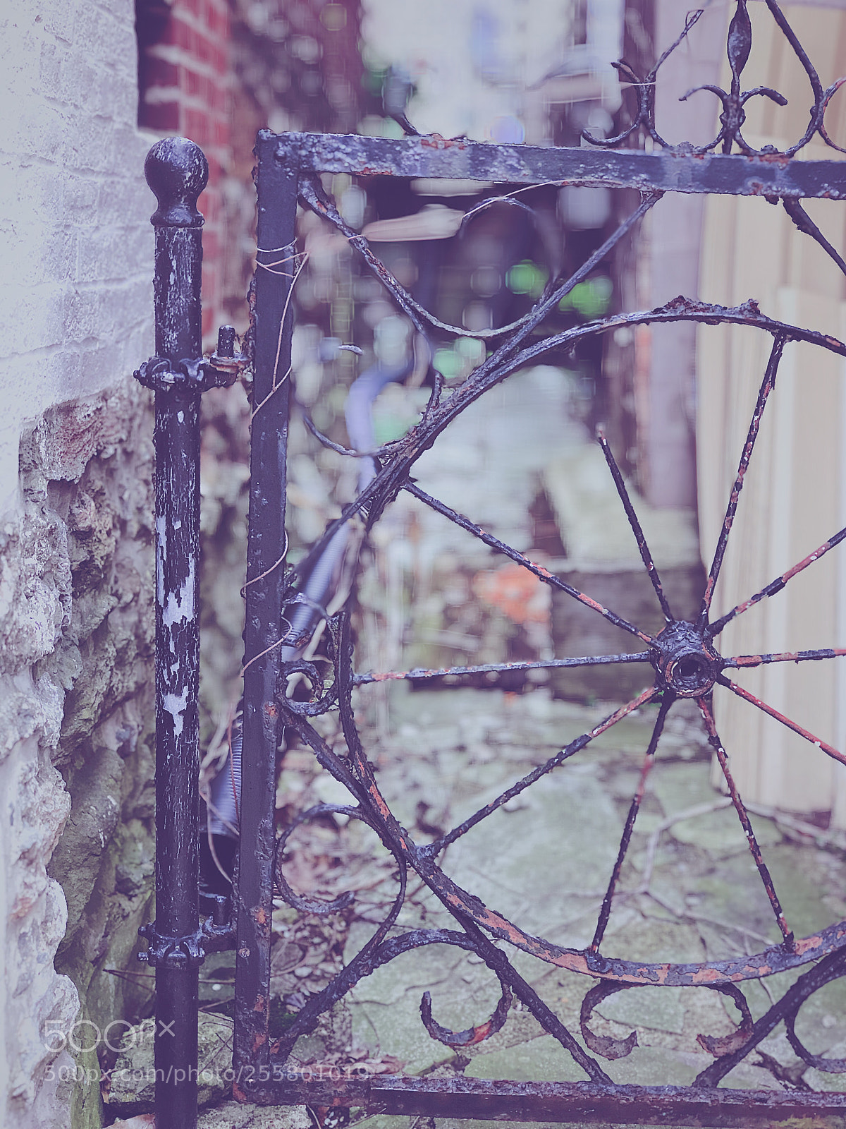 Apple iPhone 8 Plus sample photo. Wagon wheel photography