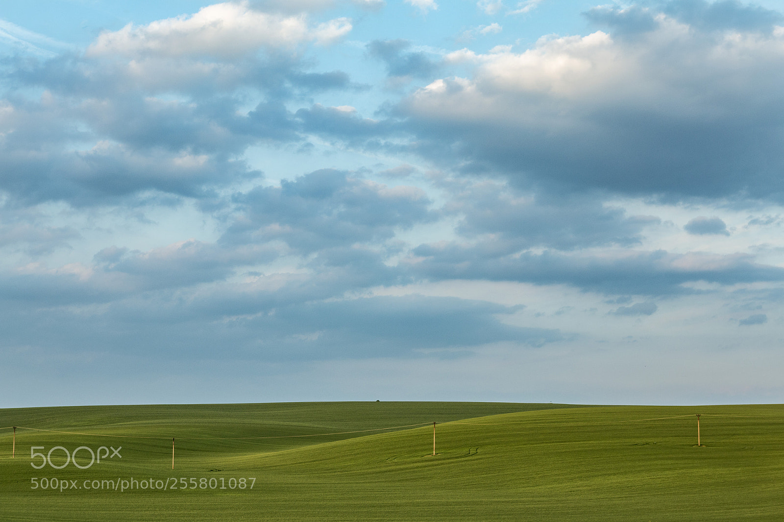 Canon EOS 70D sample photo. Green fields photography