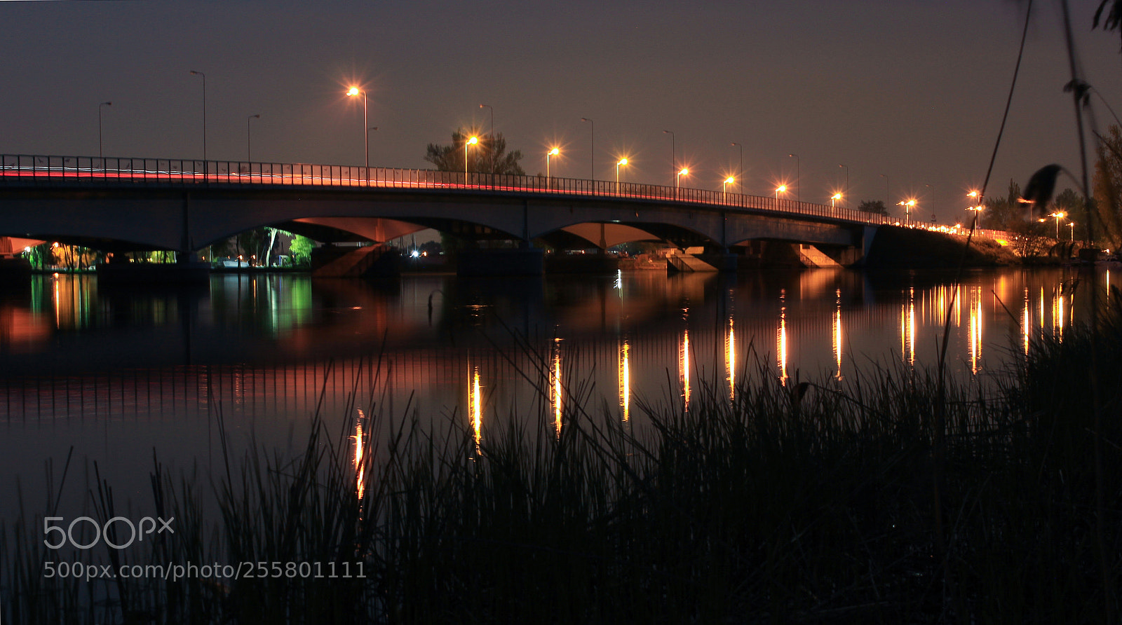 Canon EOS 1200D (EOS Rebel T5 / EOS Kiss X70 / EOS Hi) sample photo. Bridge at night2 photography