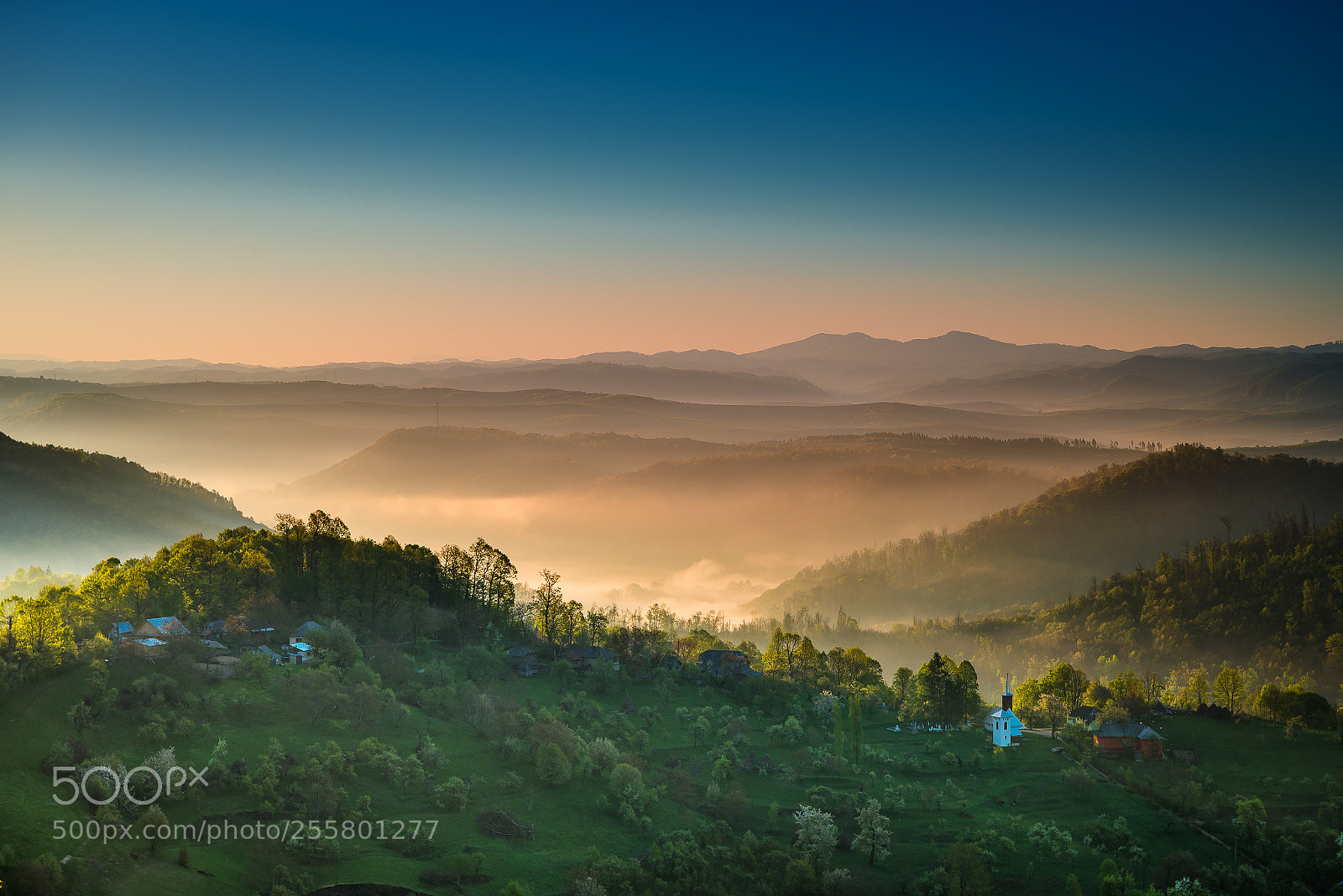 Nikon D610 sample photo. Groape , maramures photography
