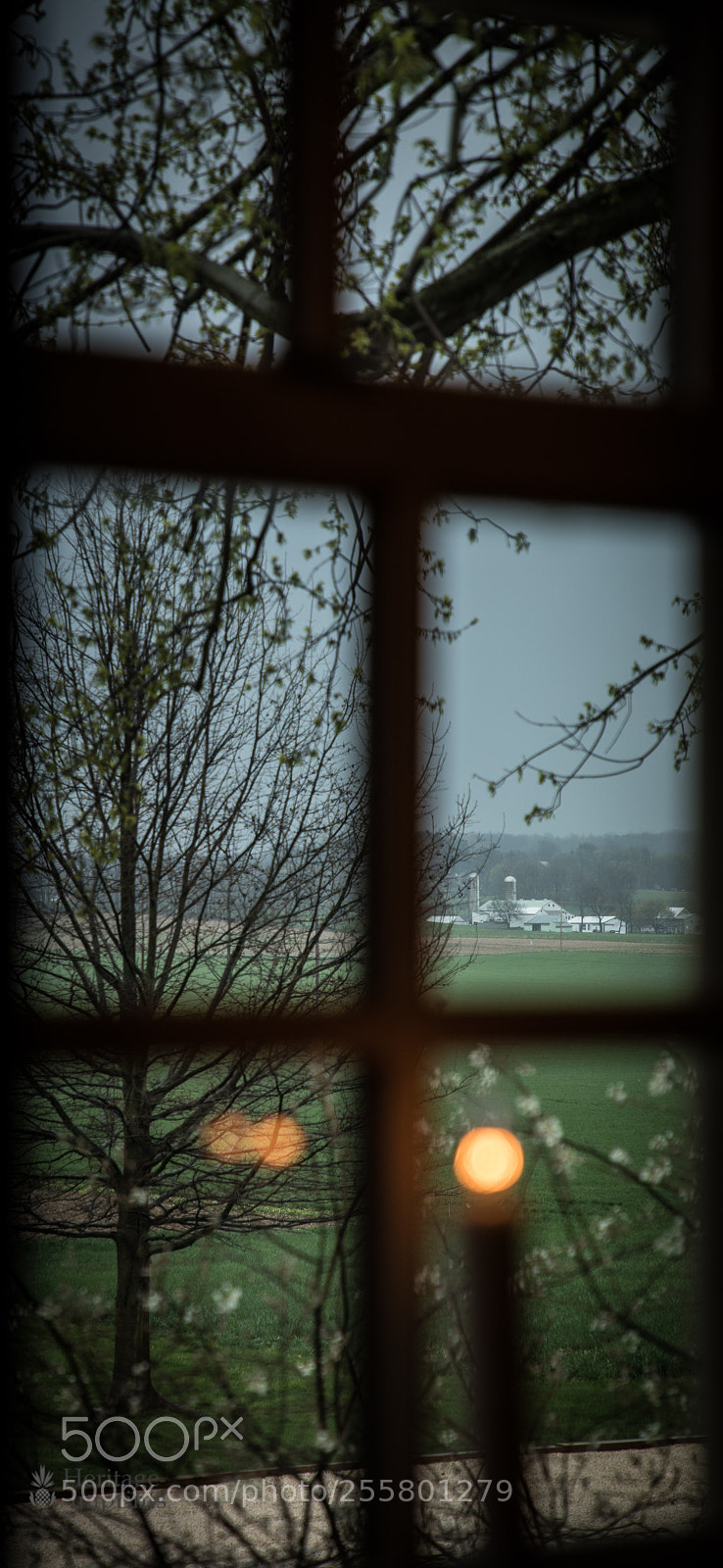 Canon EOS 5D Mark IV sample photo. An amish farm through photography