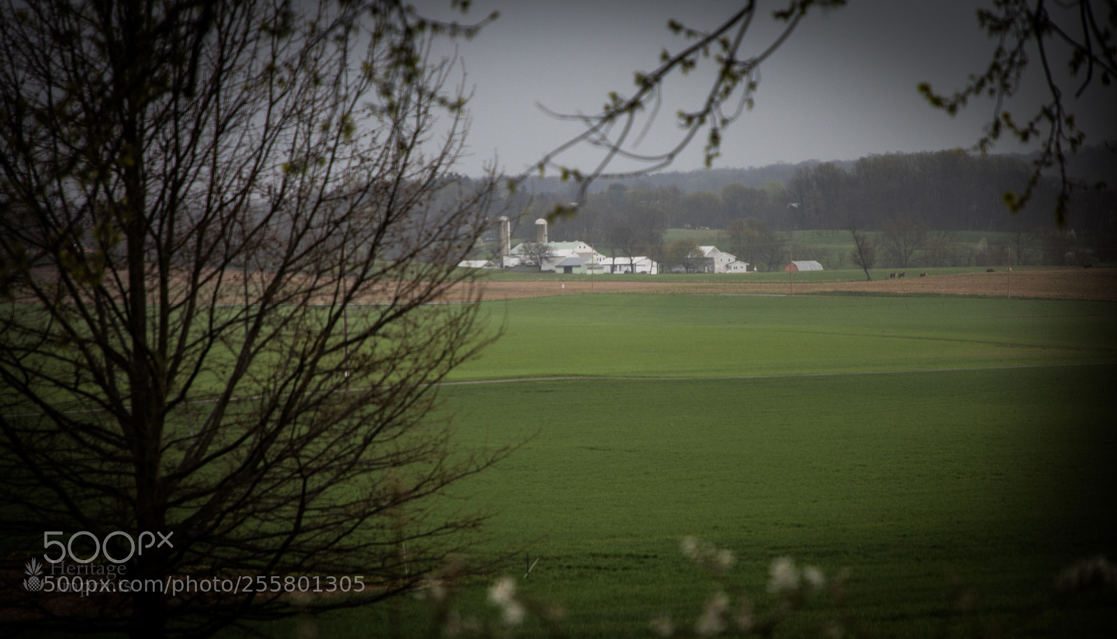 Canon EOS 5D Mark IV sample photo. The amish farm photography