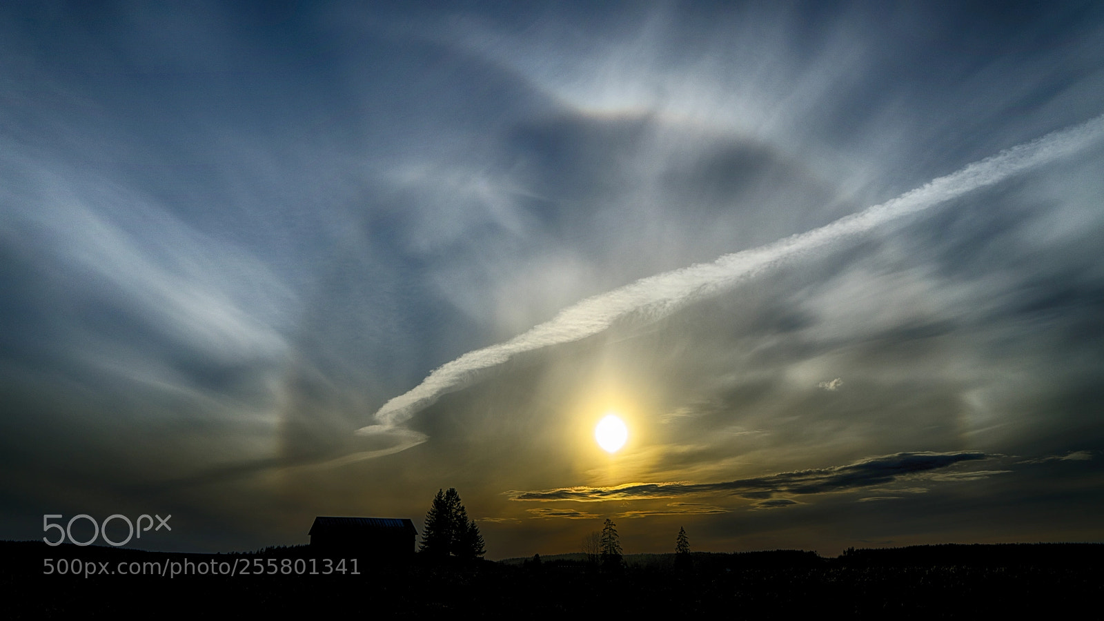 Sony a7R II sample photo. Phenomenal halo photography