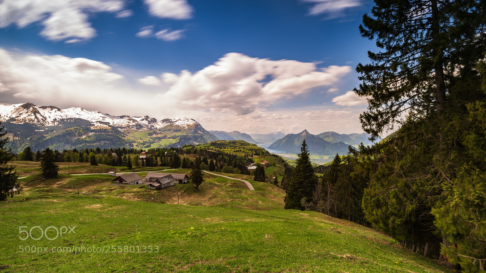 Nikon D610 sample photo. Schwyz photography