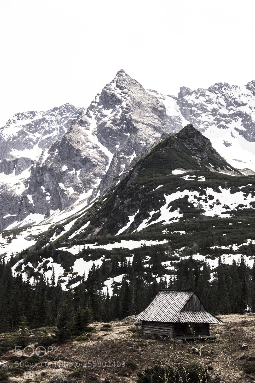 Nikon D3200 sample photo. Postcard from zakopane photography