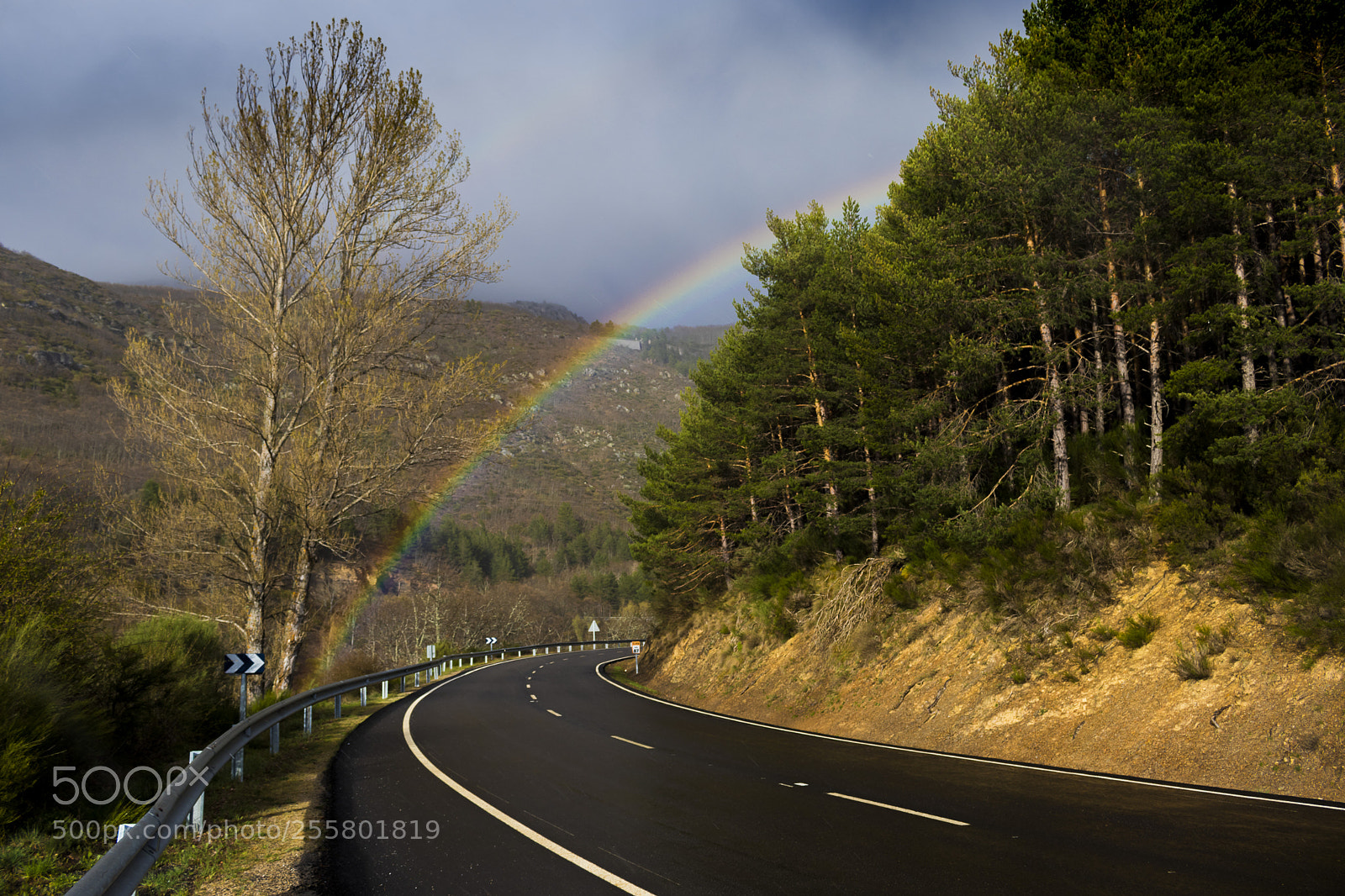 Canon EOS 80D sample photo. Through the rainbow photography