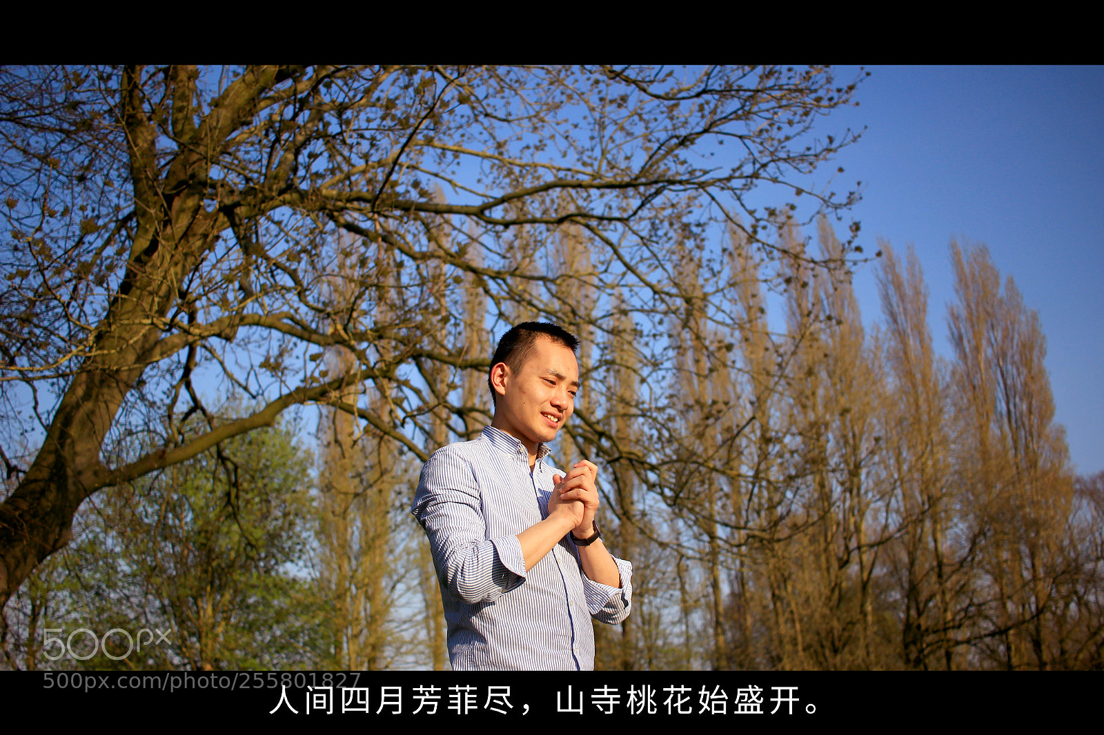 Canon EOS 600D (Rebel EOS T3i / EOS Kiss X5) sample photo. The beauty of april photography