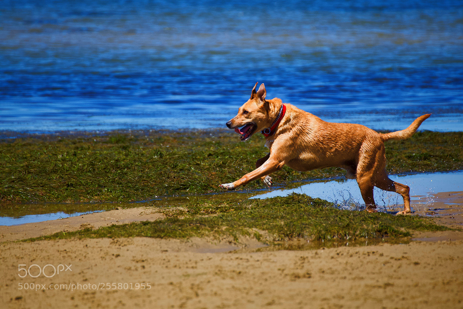 Canon EOS 6D sample photo. Jack photography