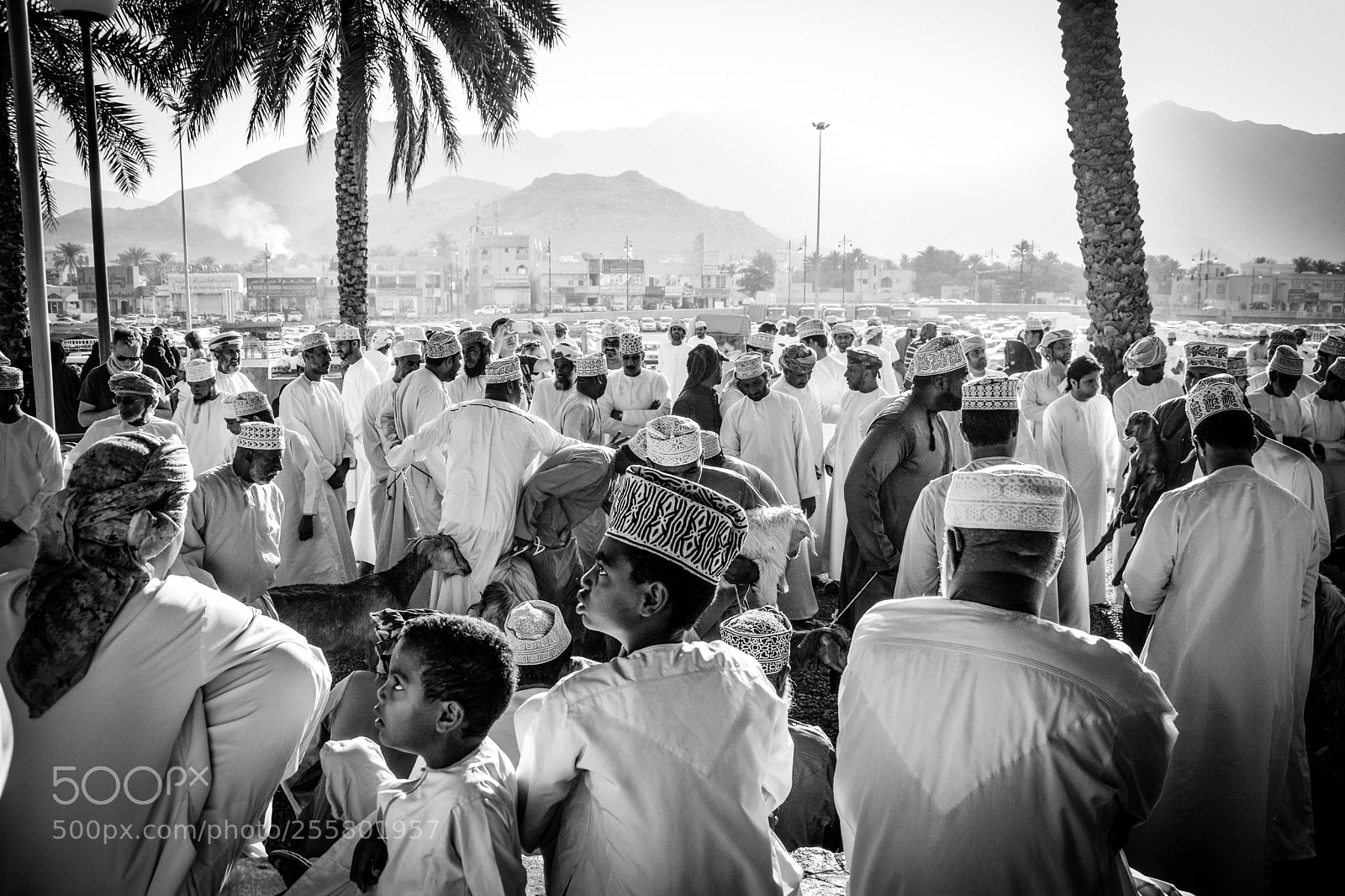 Nikon D5200 sample photo. Goat market dance nizwa photography
