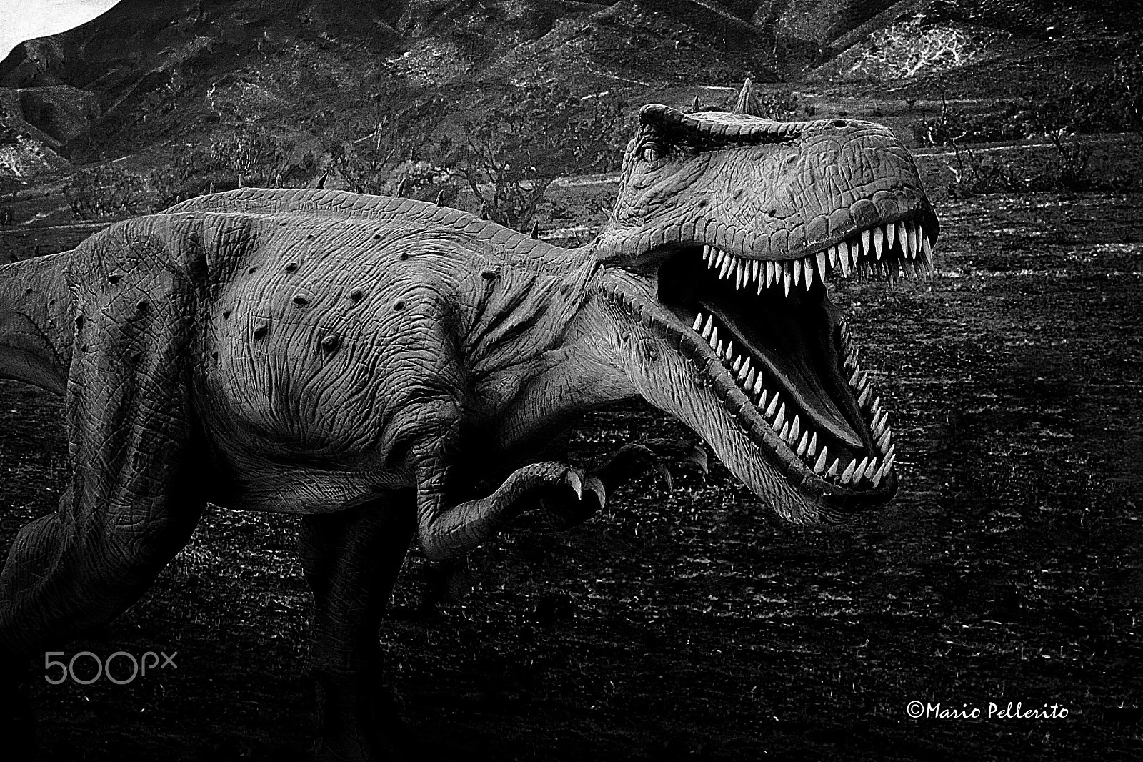 Canon EOS 60D sample photo. Jurassic park... :-) photography