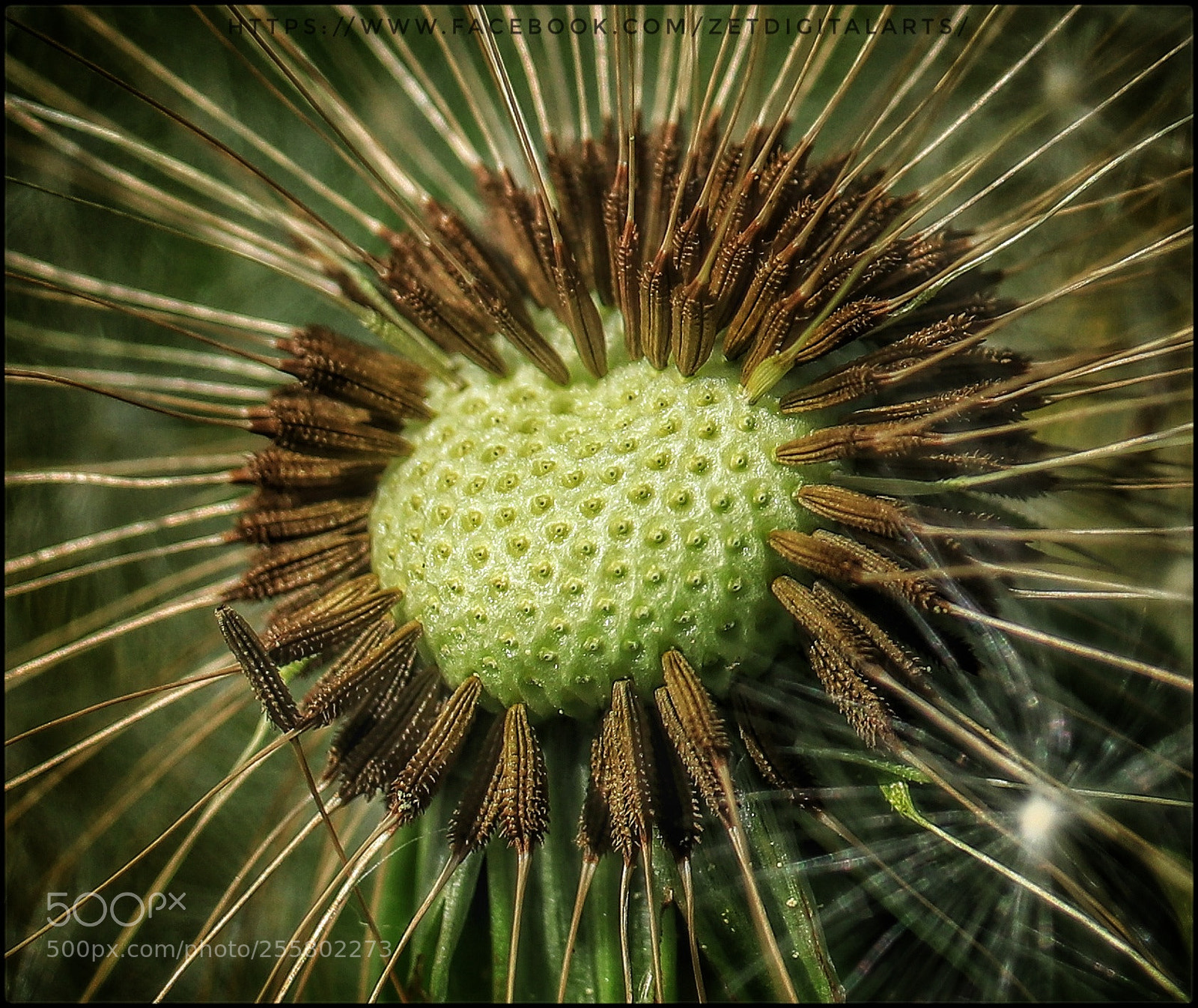 Canon EOS 80D sample photo. Untitled photography