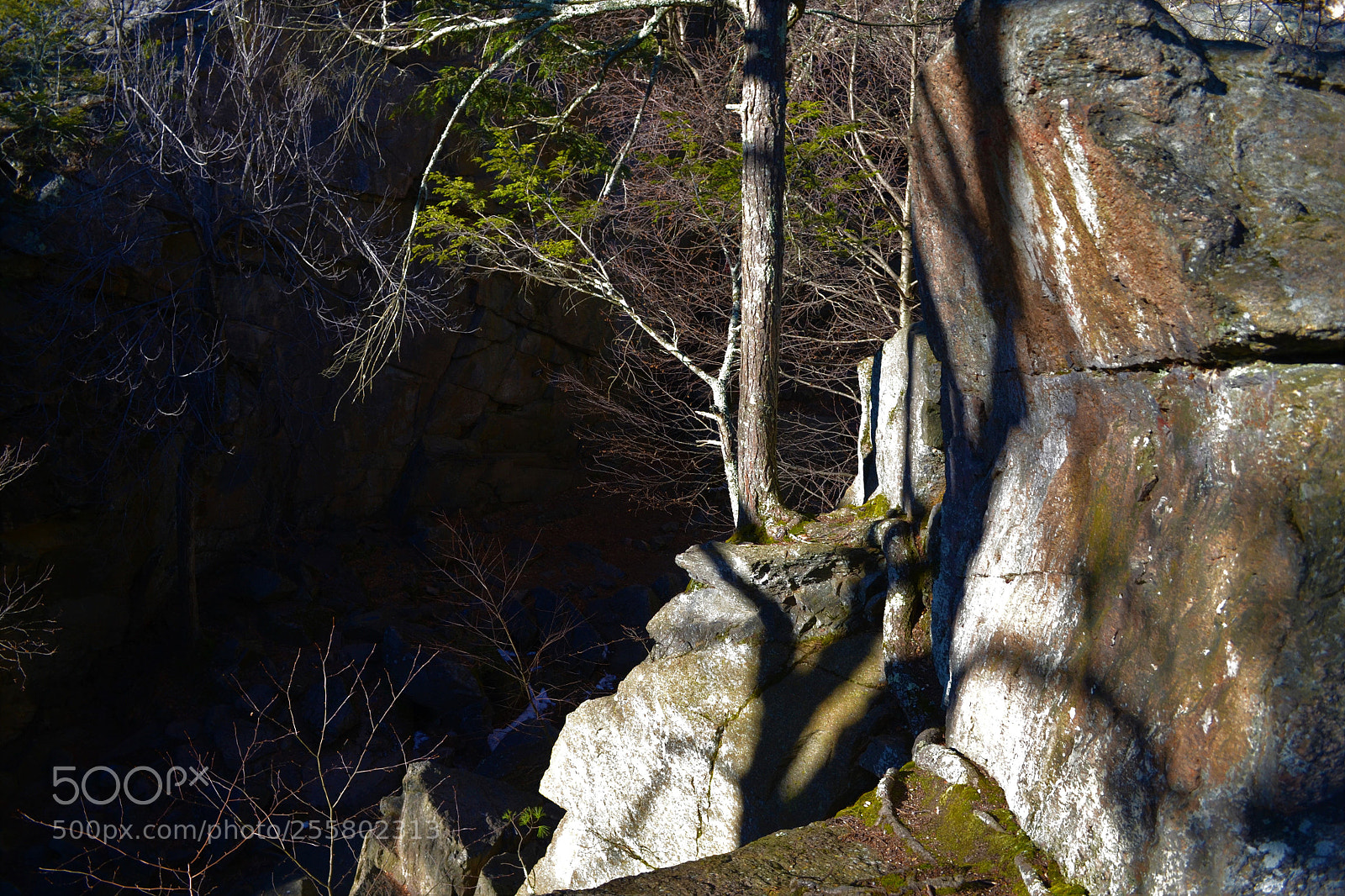 Nikon D3100 sample photo. Cliffside view photography