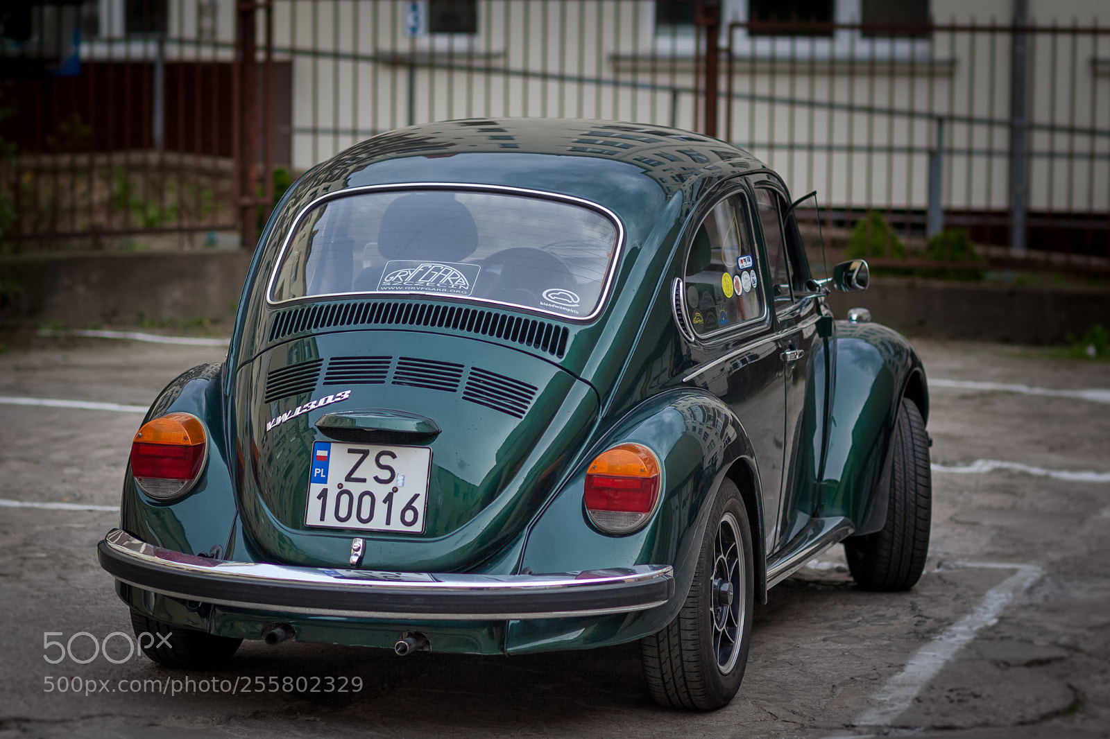 Canon EOS 5D Mark II sample photo. Vw k fer like photography