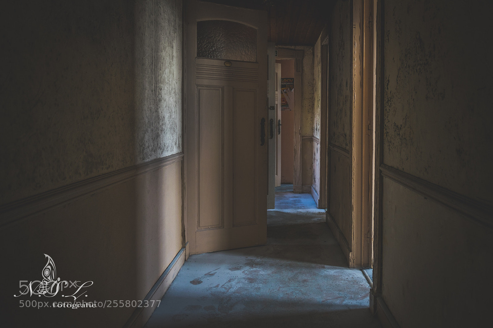Nikon D5300 sample photo. Down the hallway  photography