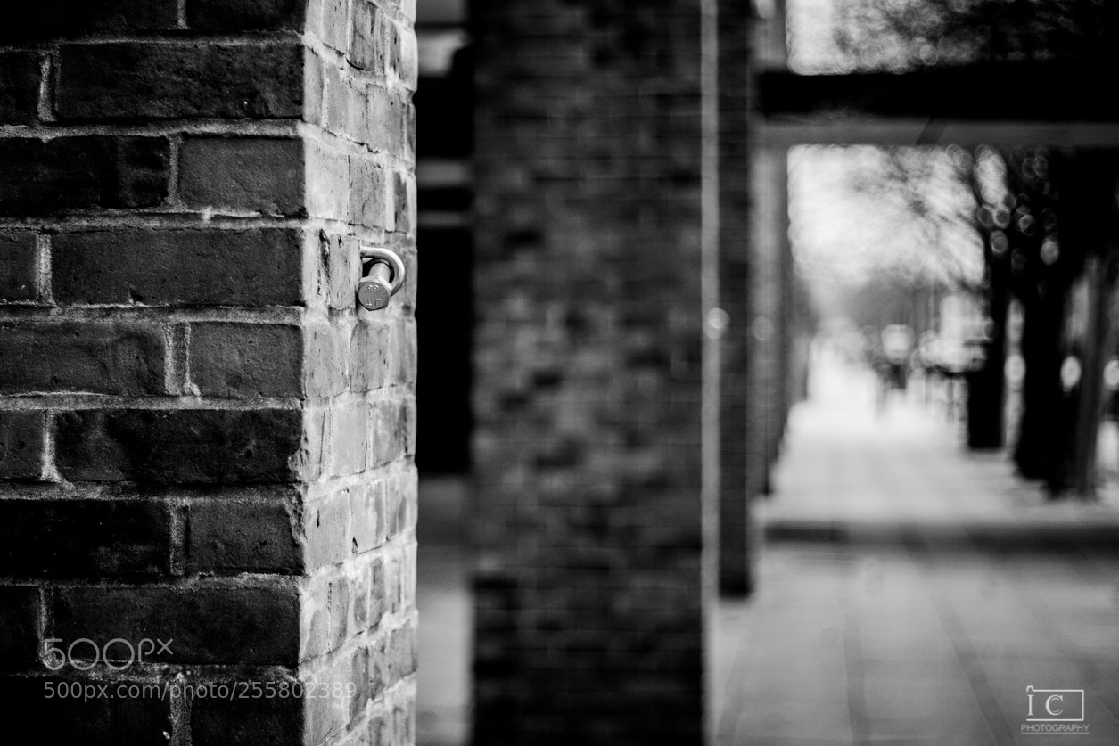 Canon EOS 550D (EOS Rebel T2i / EOS Kiss X4) sample photo. A nail in the photography