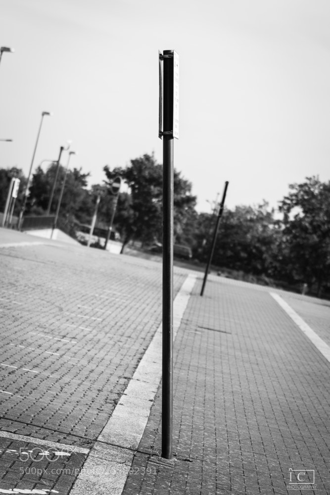 Canon EOS 6D sample photo. Straight pole photography