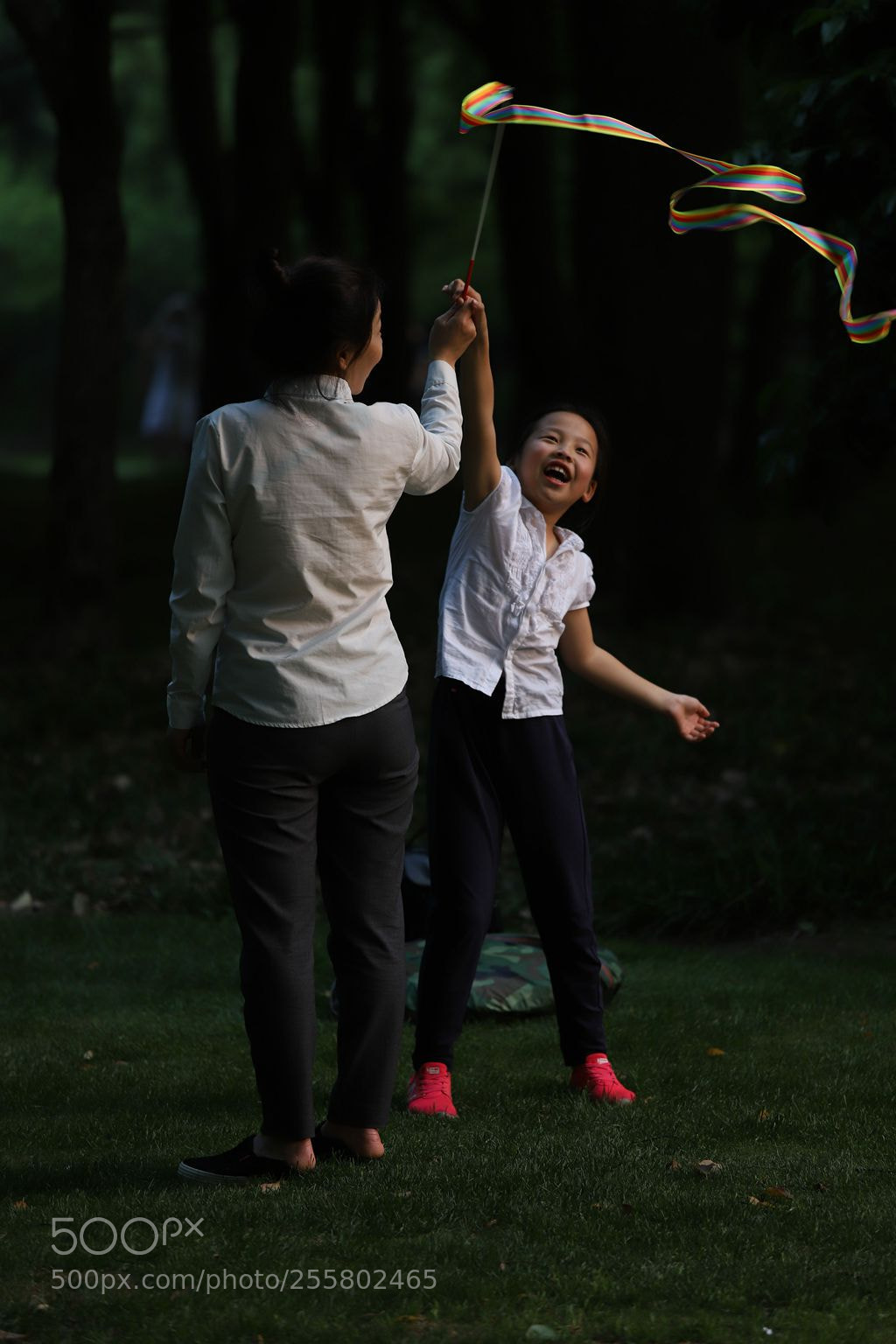 Canon EOS 6D Mark II sample photo. Untitled photography