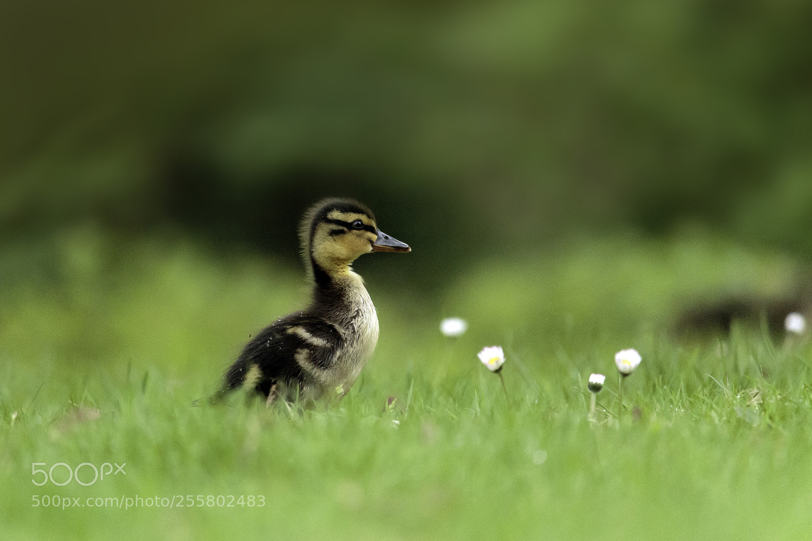 Canon EOS 7D Mark II sample photo. Adventure photography