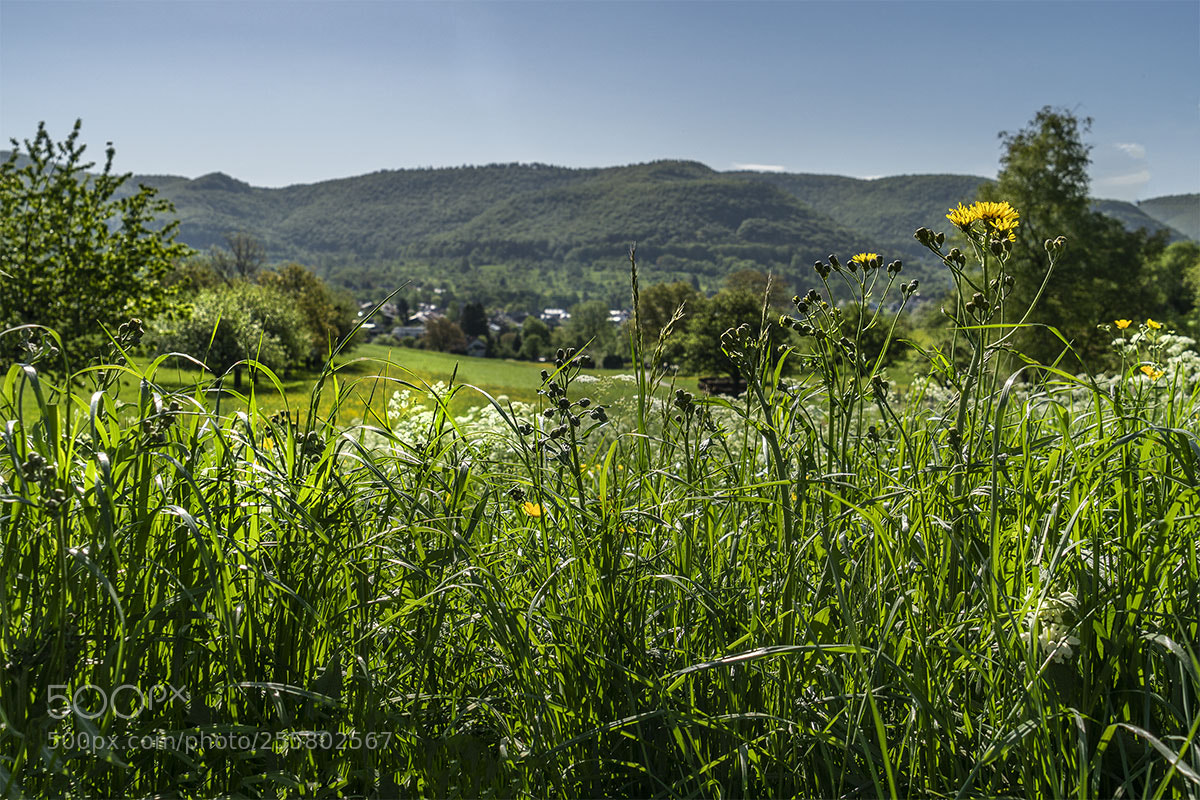 Sony a6300 sample photo. Eningen 290418-032 photography