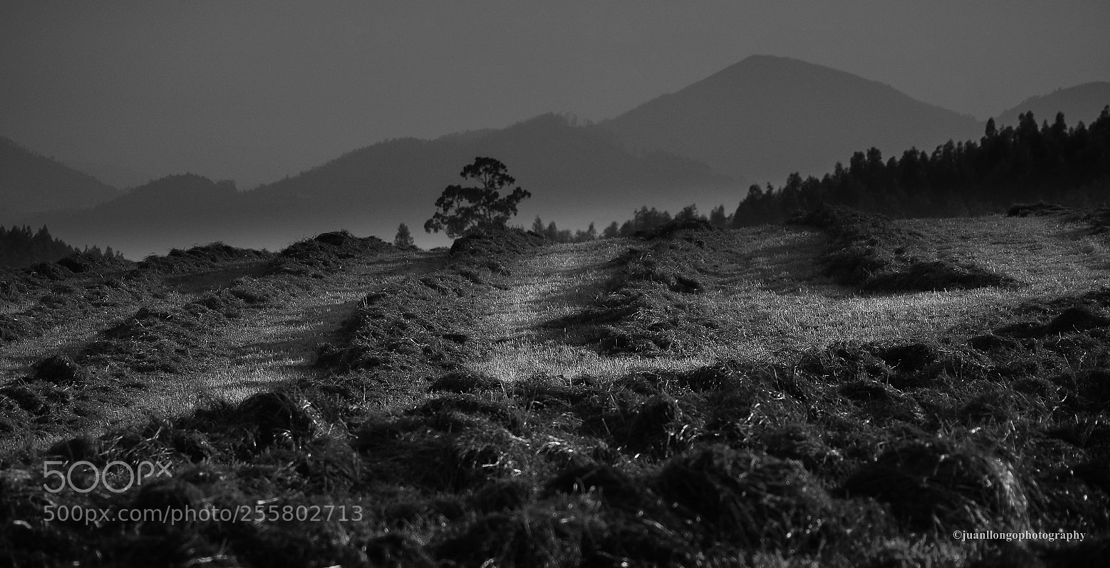 Olympus OM-D E-M10 II sample photo. Asturias landscape - paisaje photography