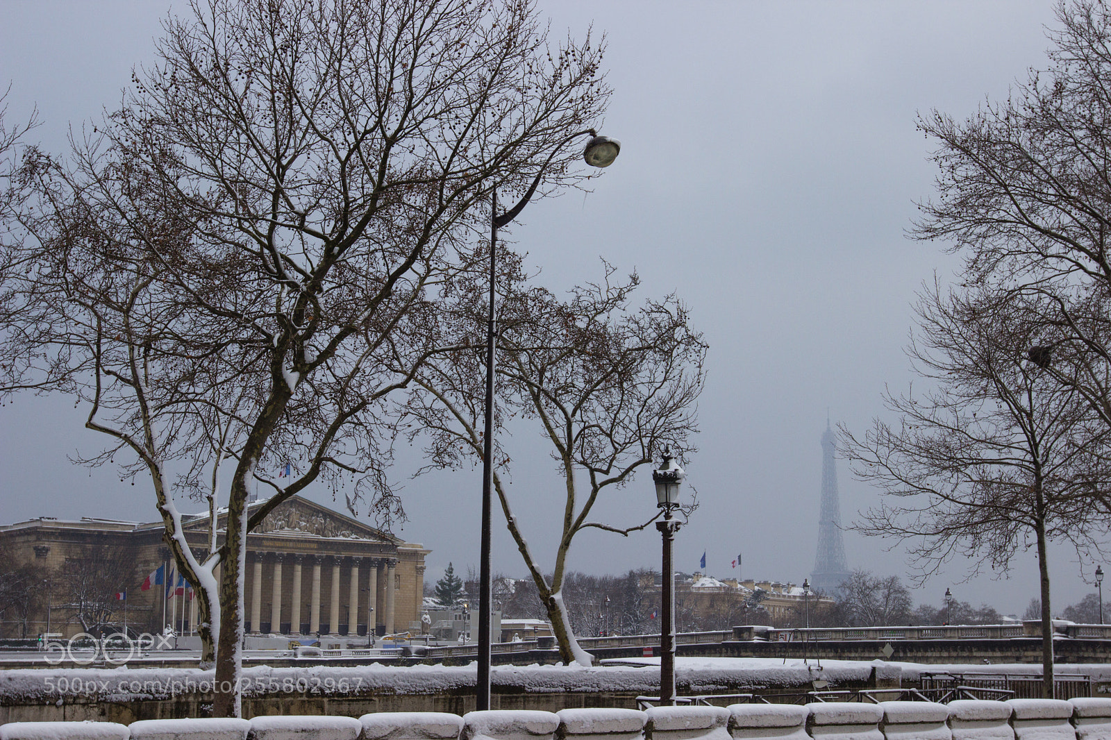 Canon EOS 600D (Rebel EOS T3i / EOS Kiss X5) sample photo. L'assemblée nationale photography