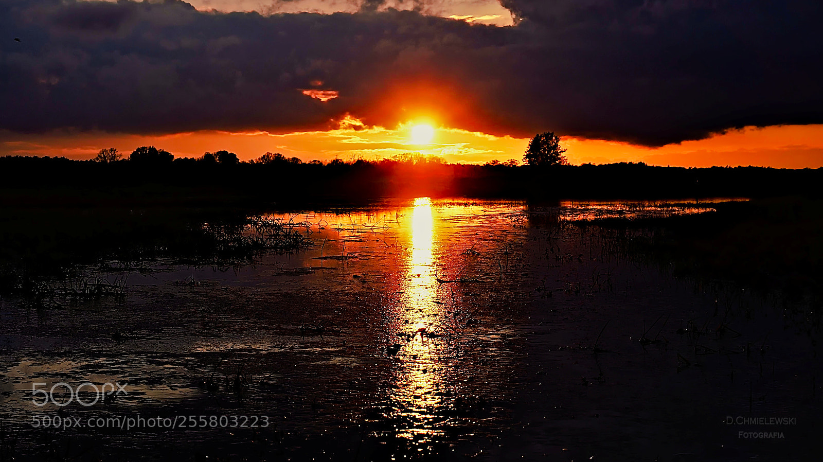 Sony a6000 sample photo. Sunset in poland photography