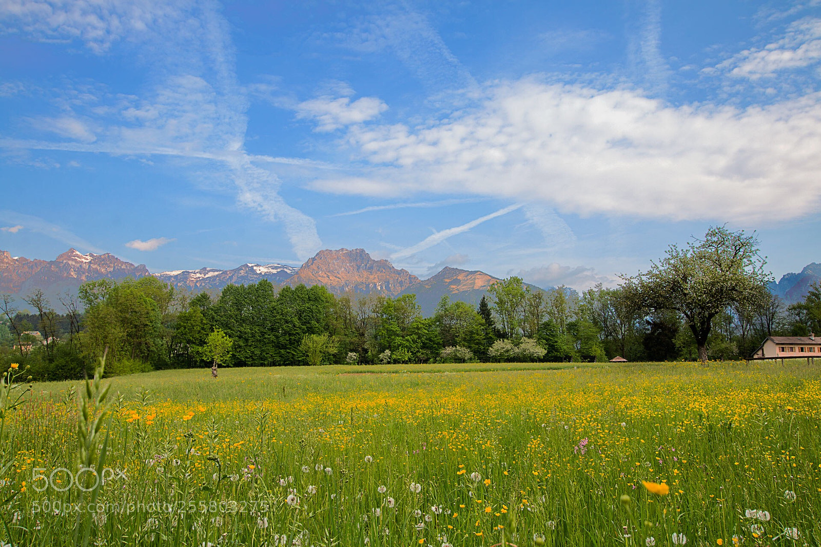 Canon EOS 70D sample photo. Colors...... photography
